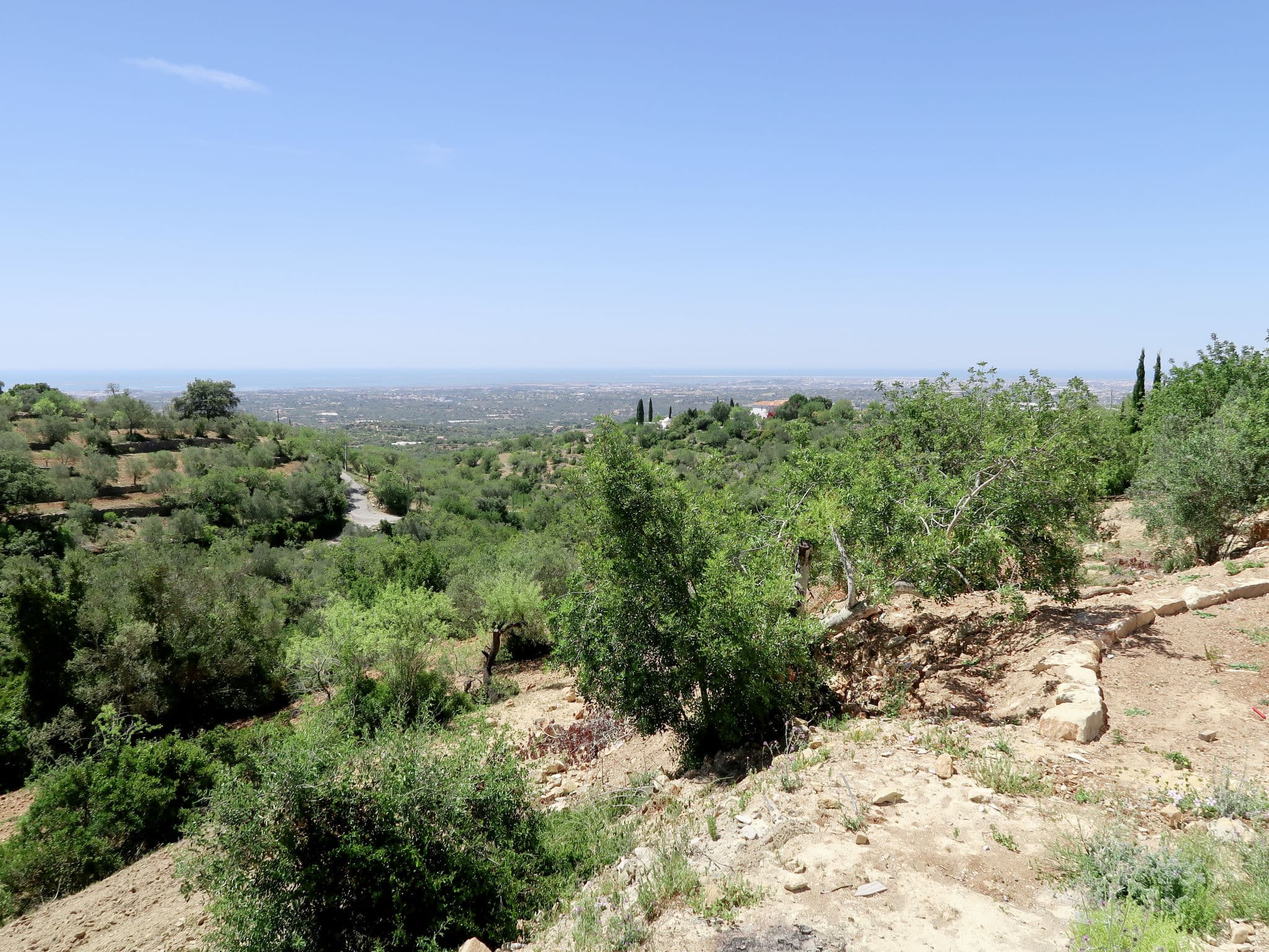 View