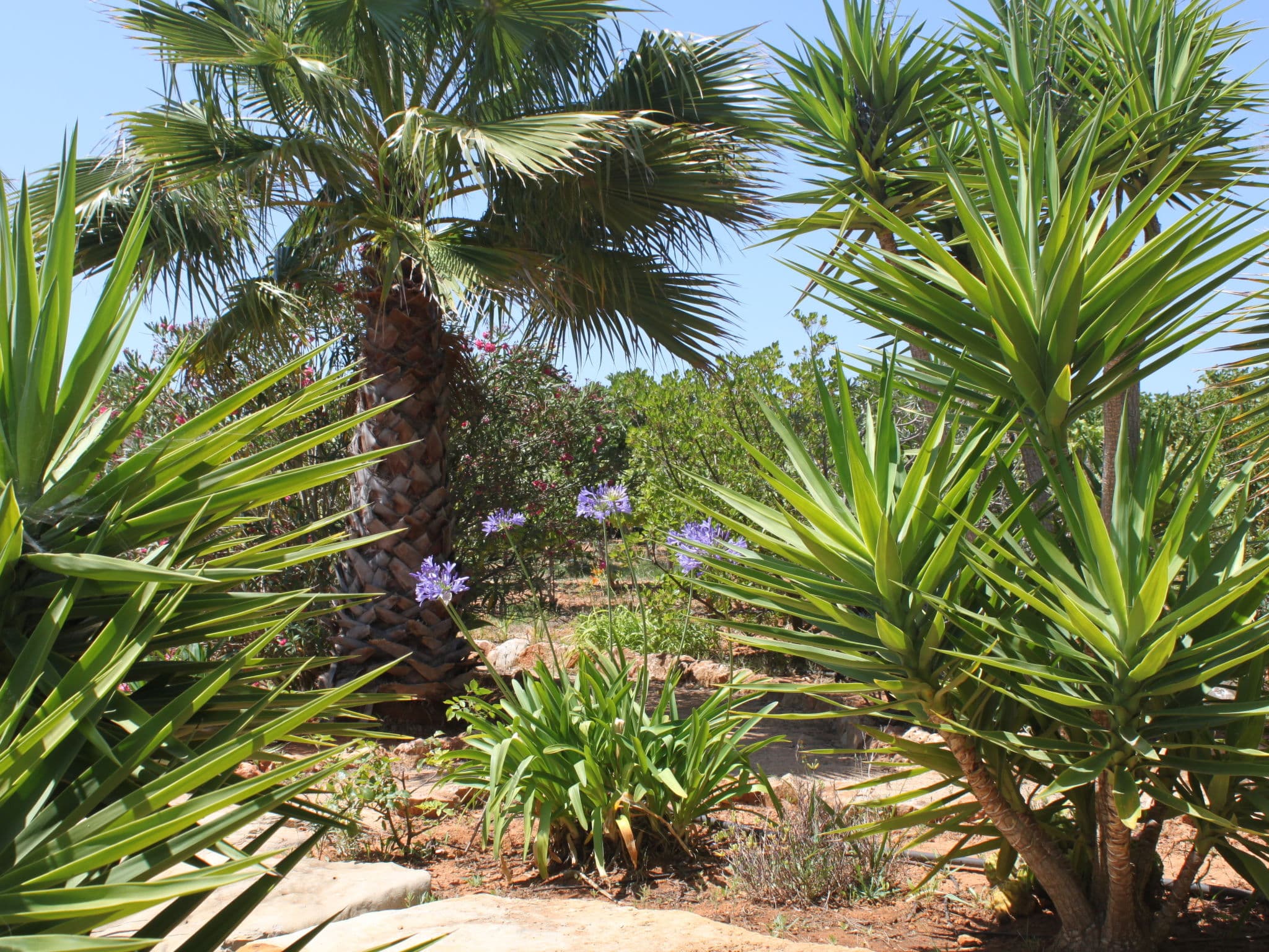 Outdoor