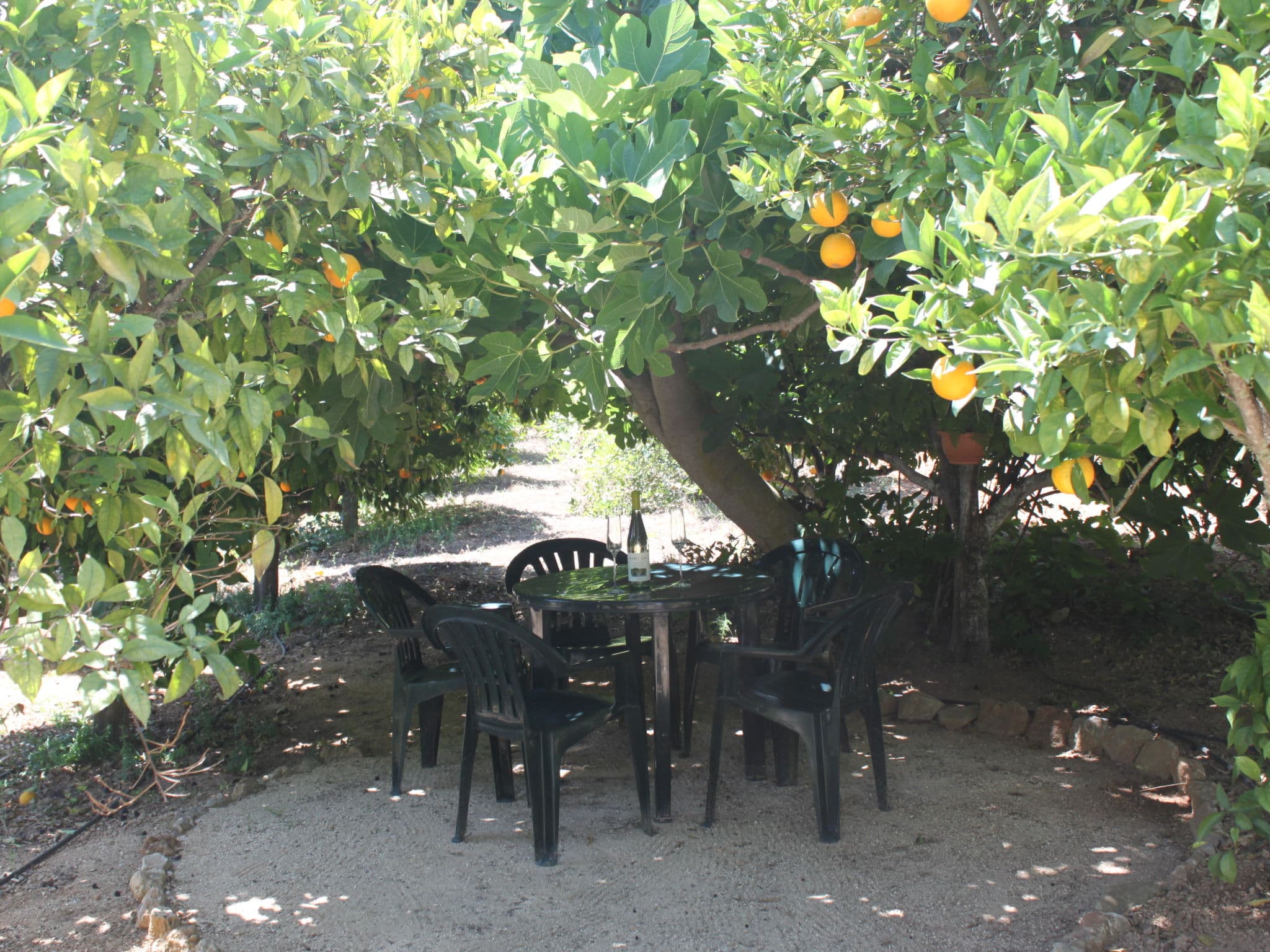 Outdoor