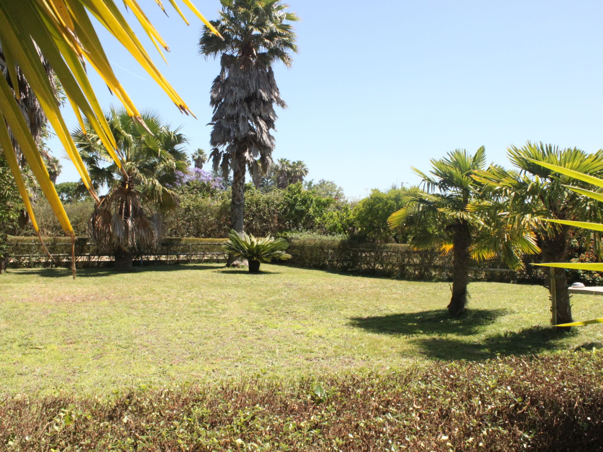 Outdoor