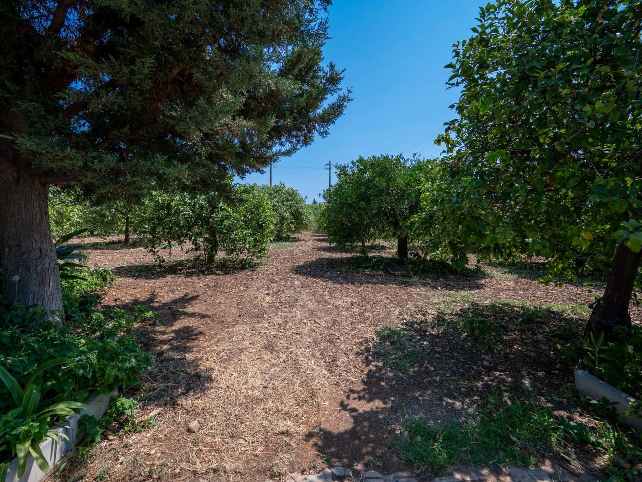 Gallery Image 13