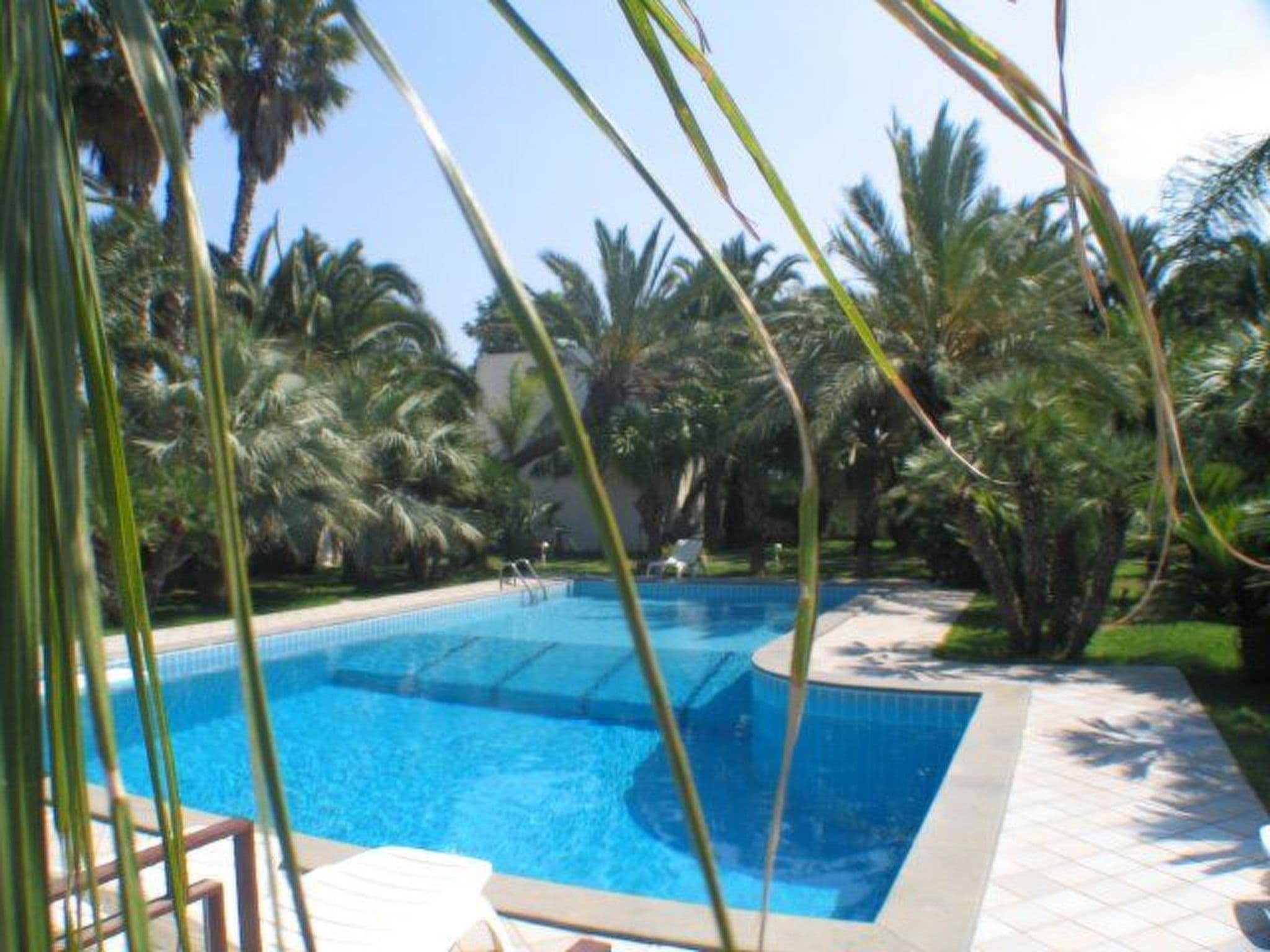 Pool Outdoor