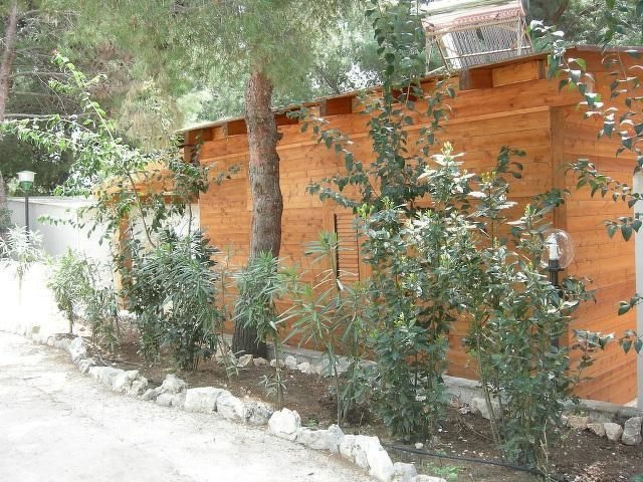 Gallery Image 9