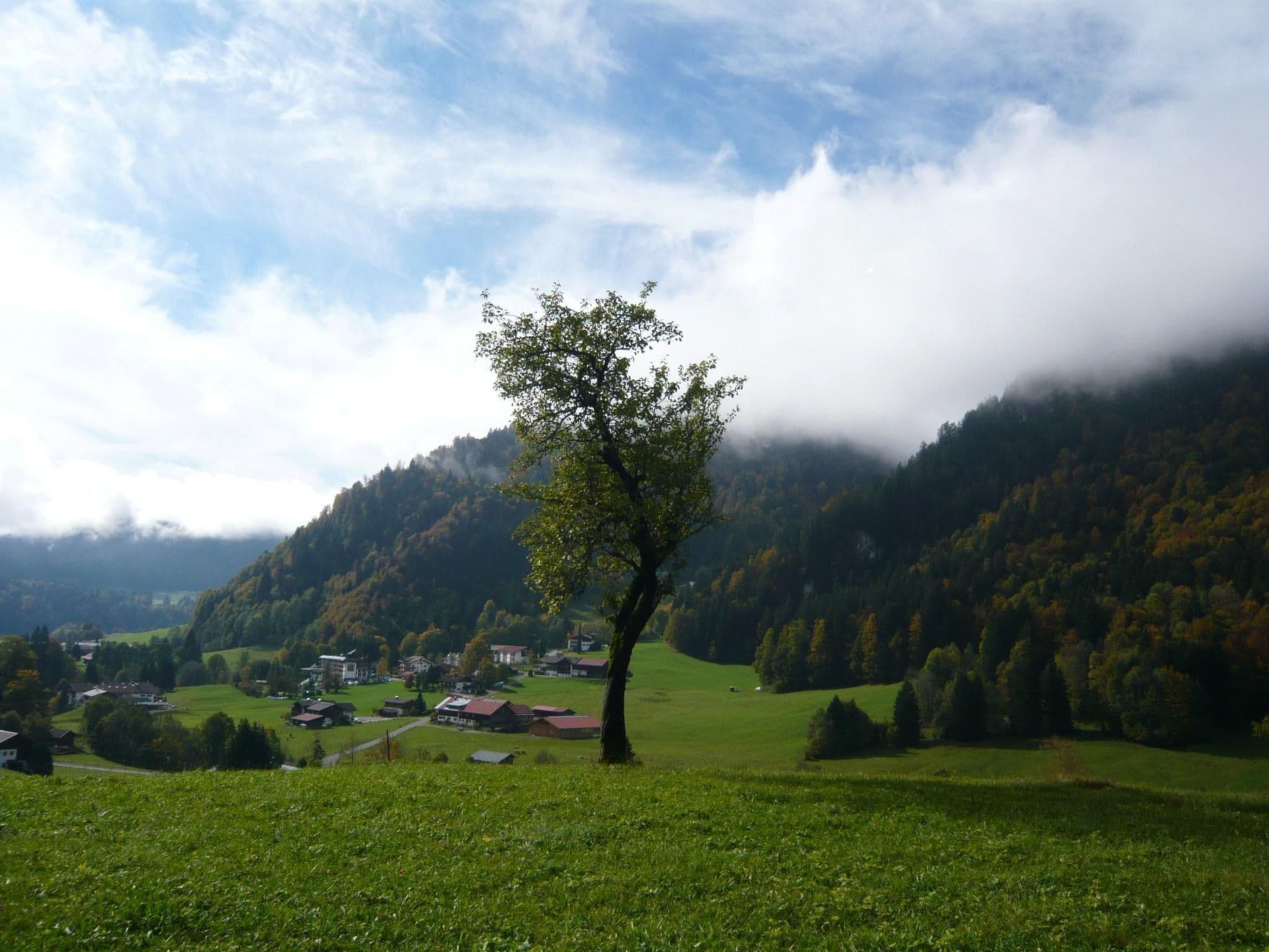 View