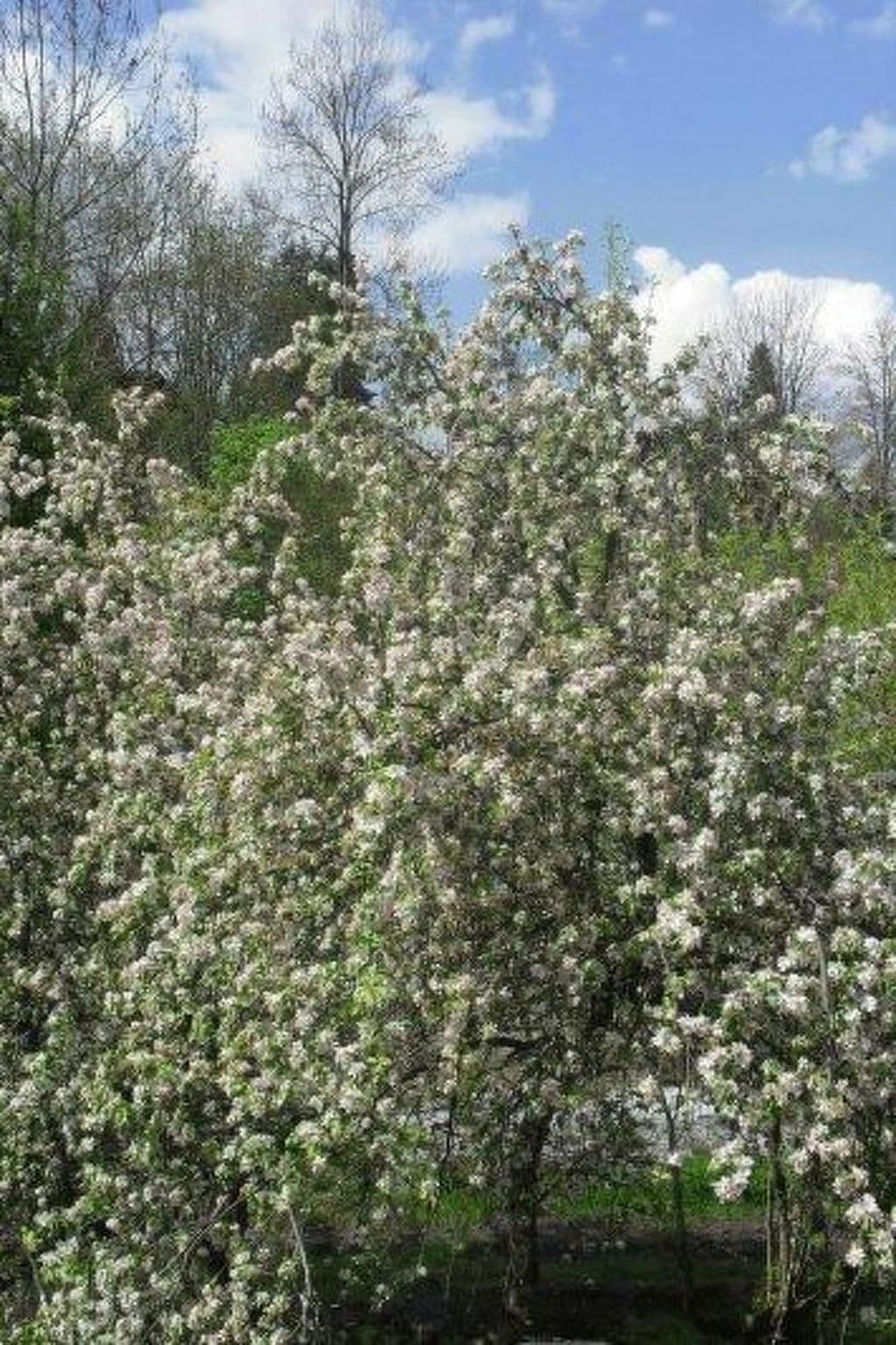 Gallery Image 22