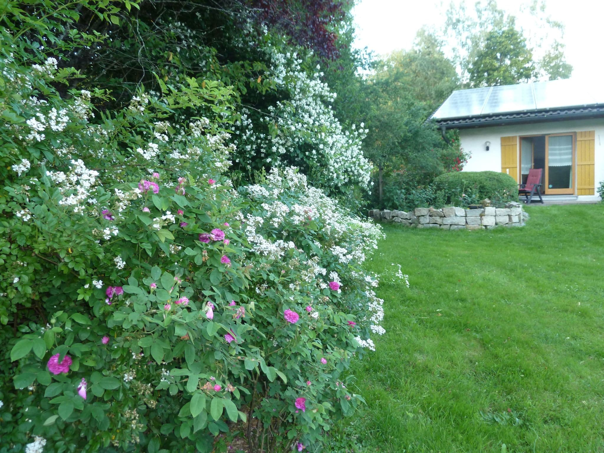 Gallery Image 15