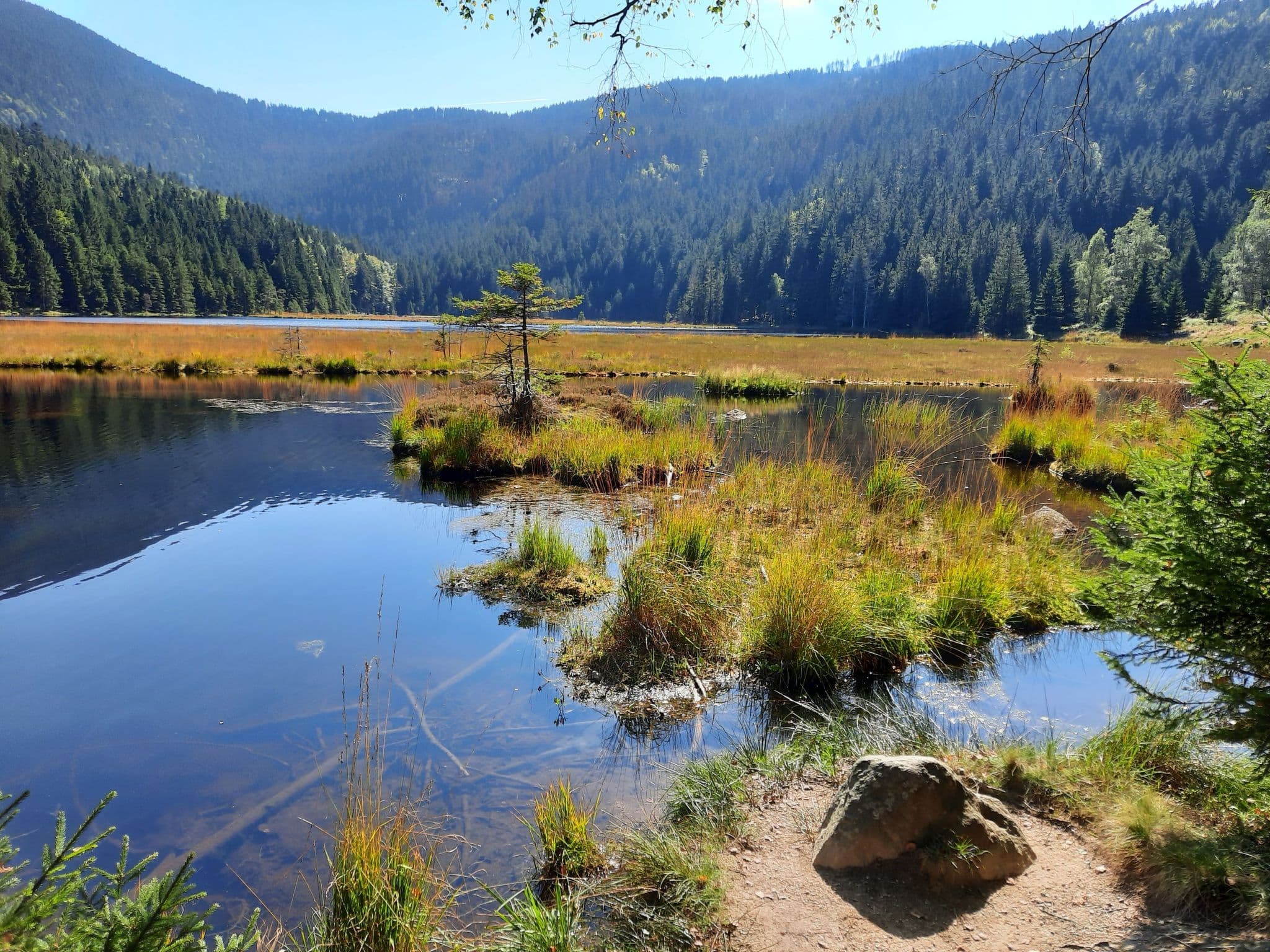 Gallery Image 30