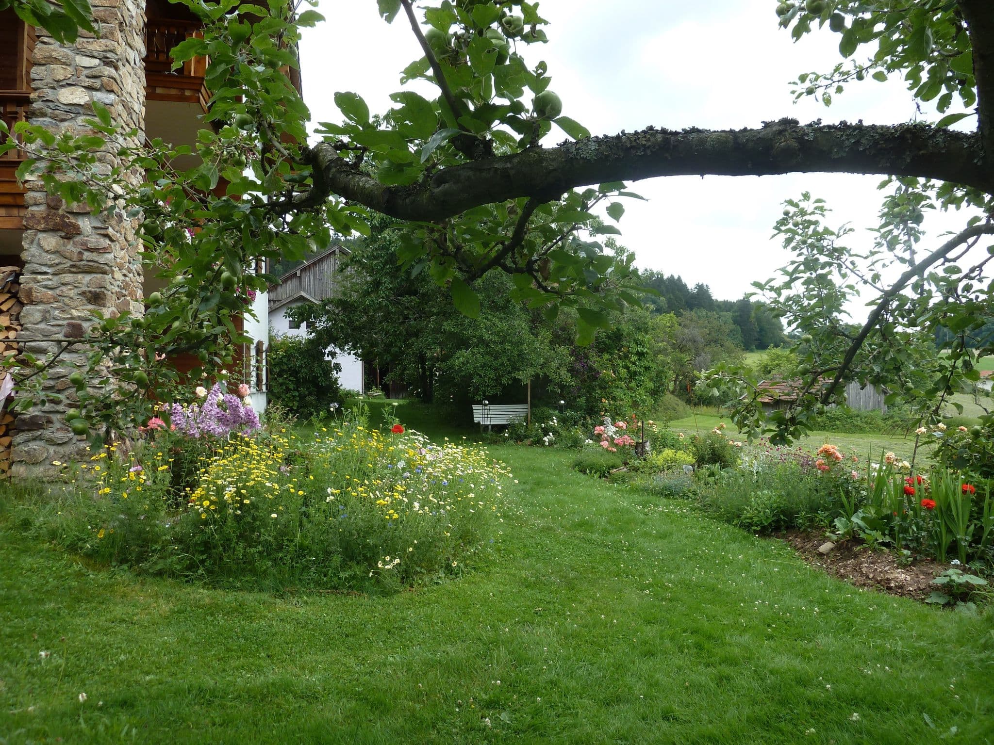 Gallery Image 34