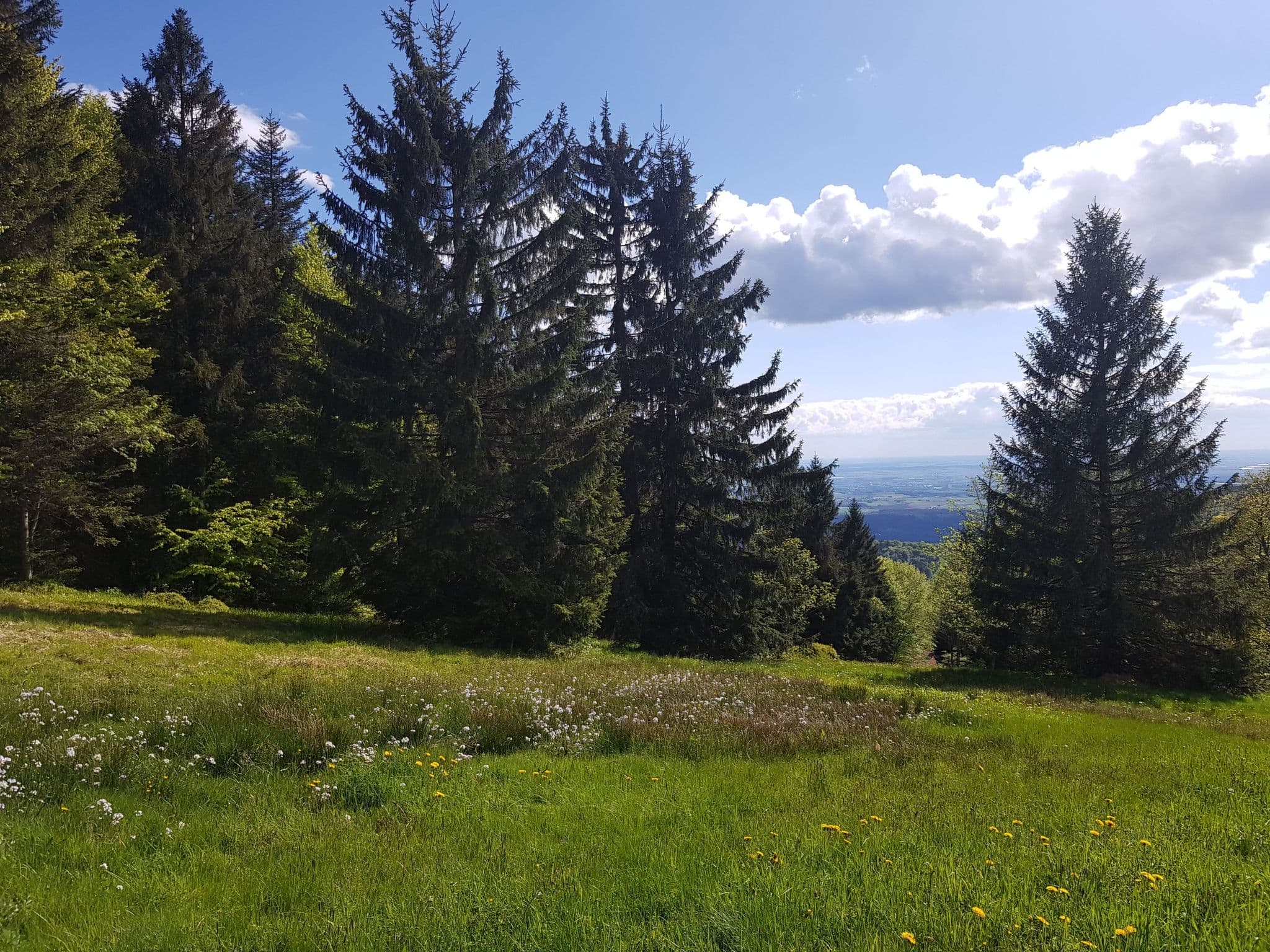 View