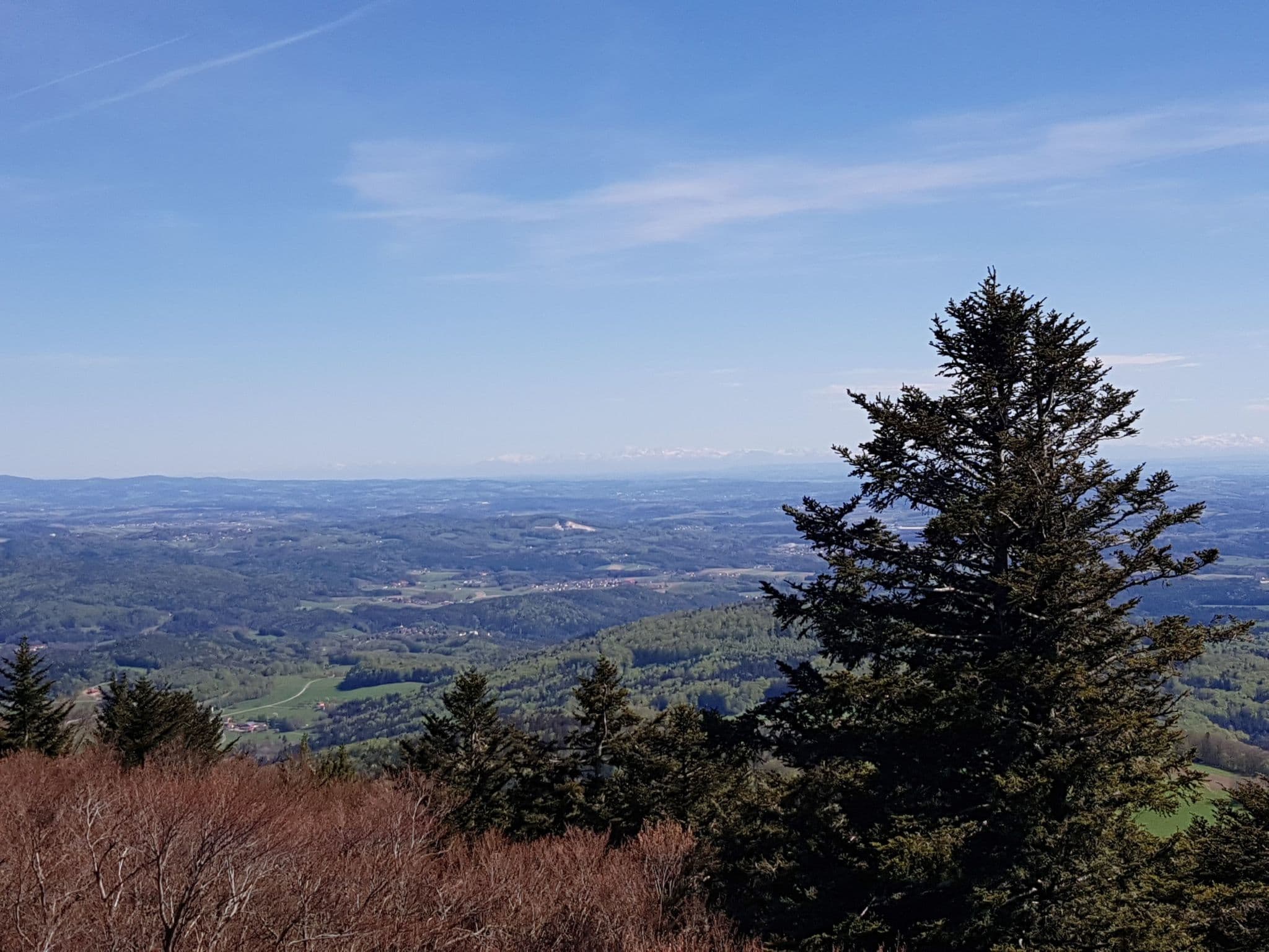 View