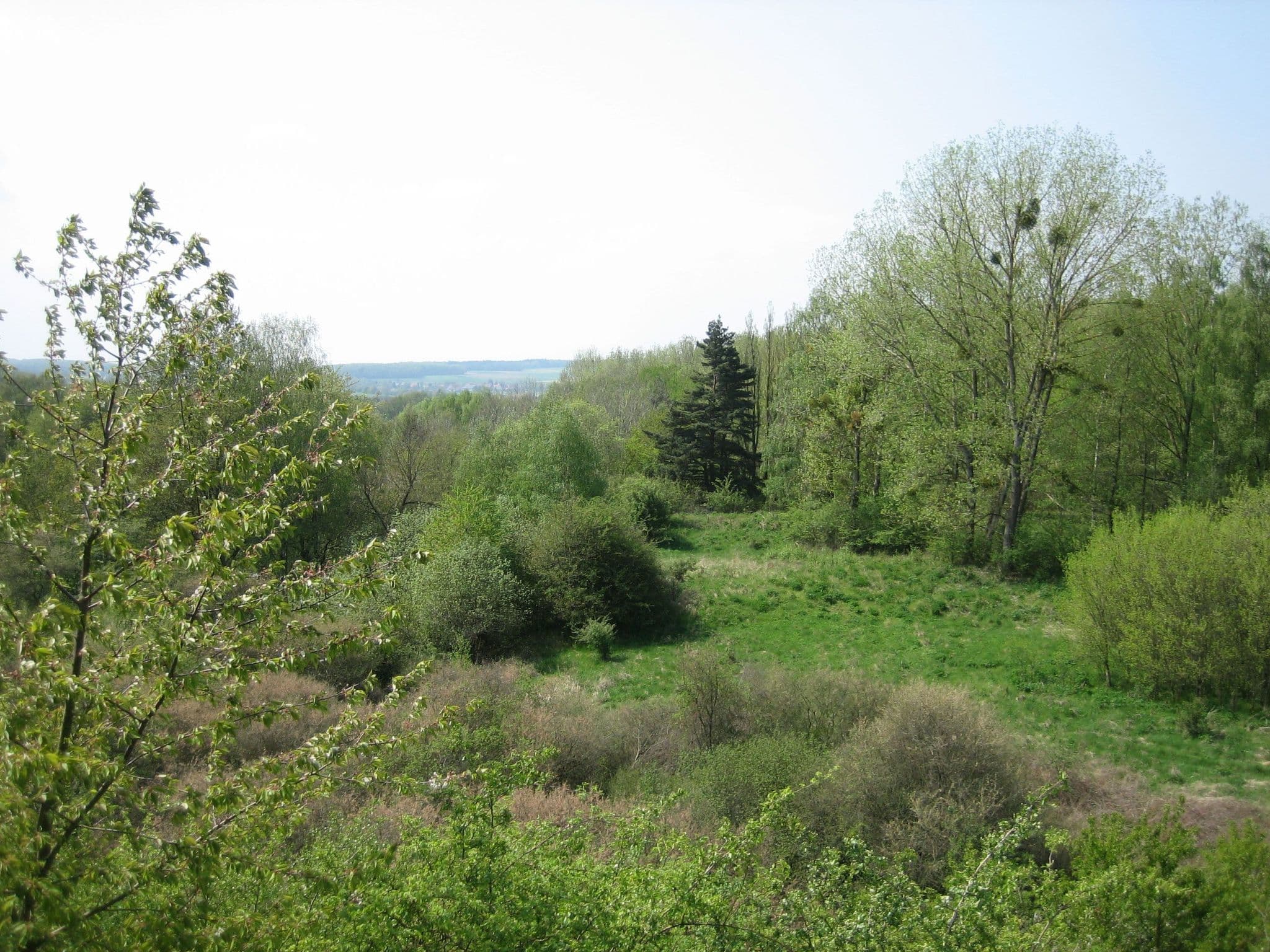 View