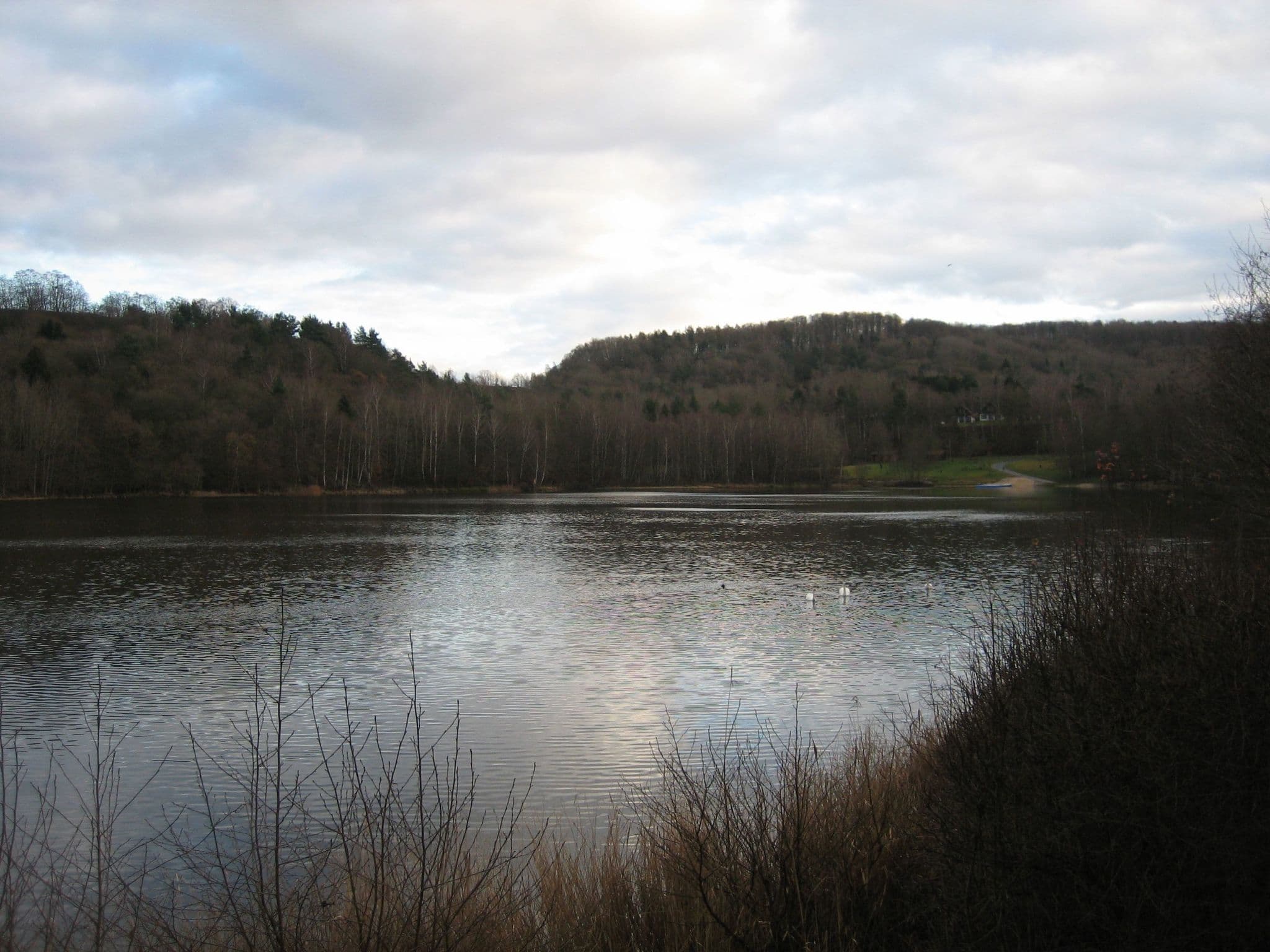 Gallery Image 39