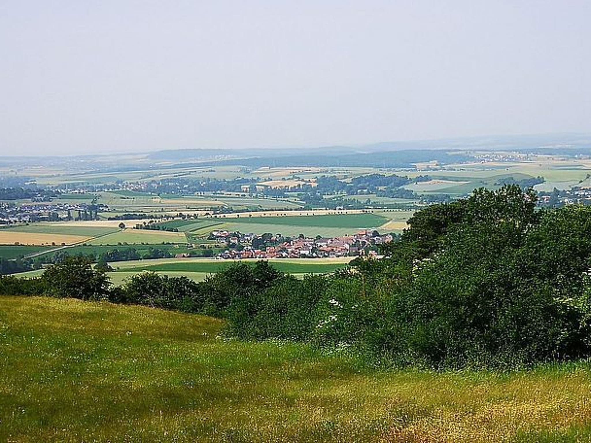 View