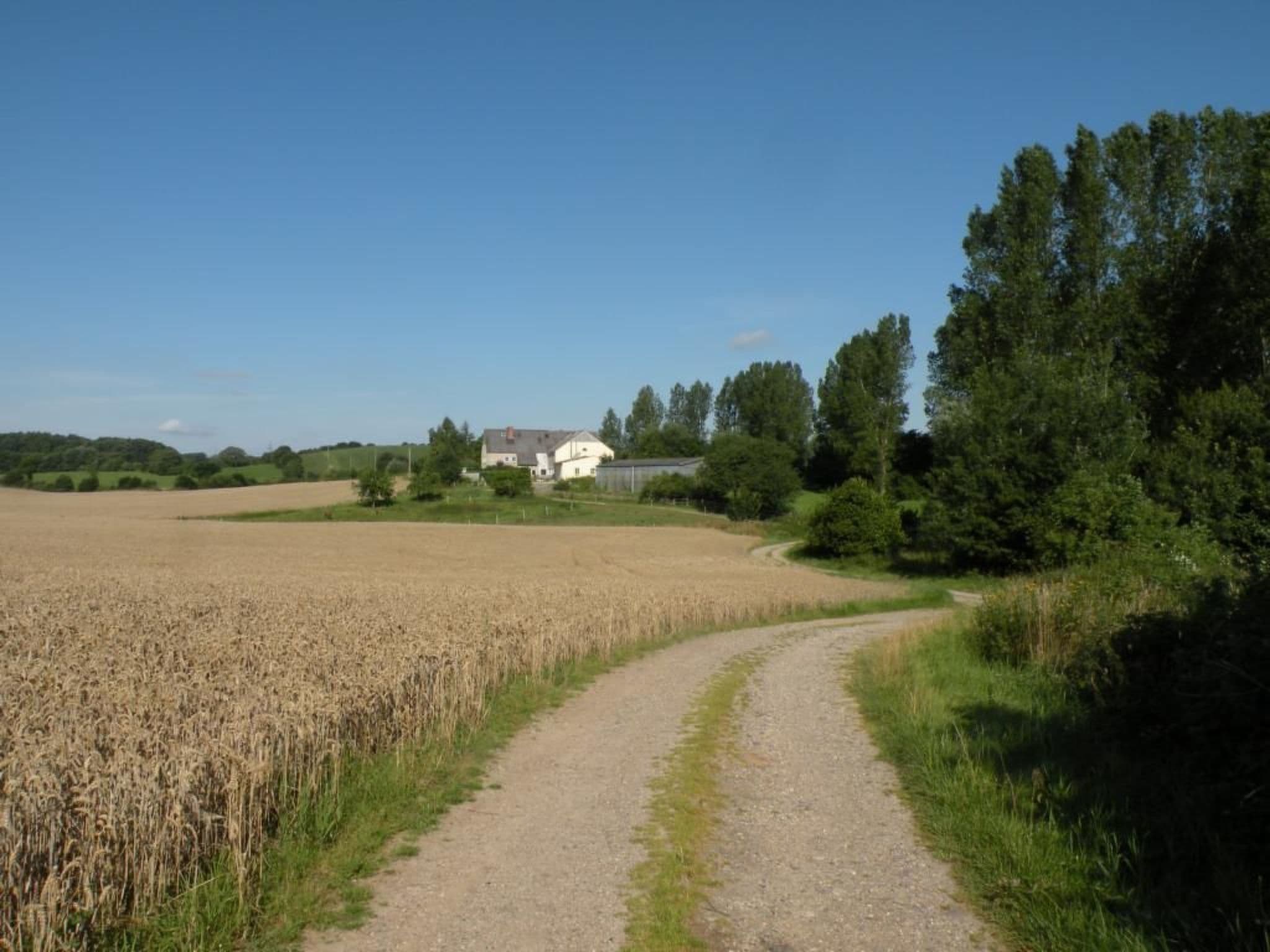 Gallery Image 22