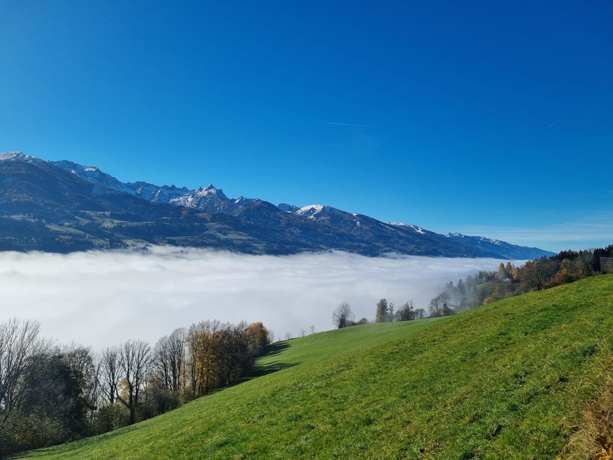 View