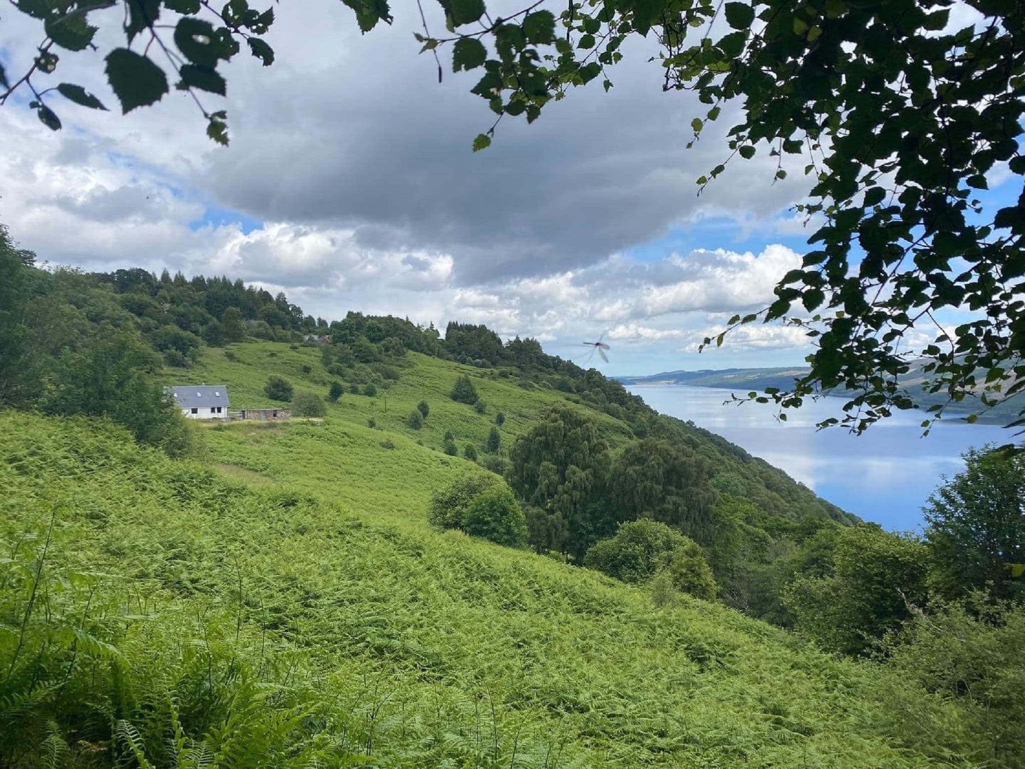 View