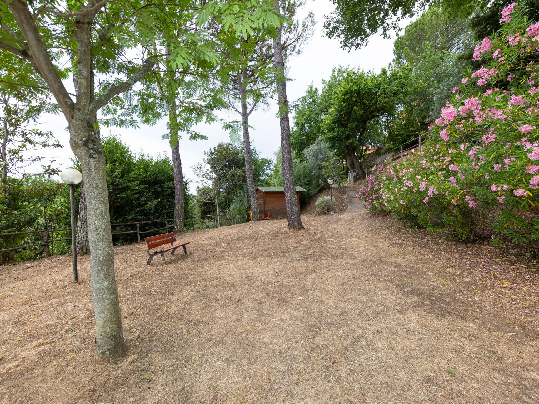Outdoor