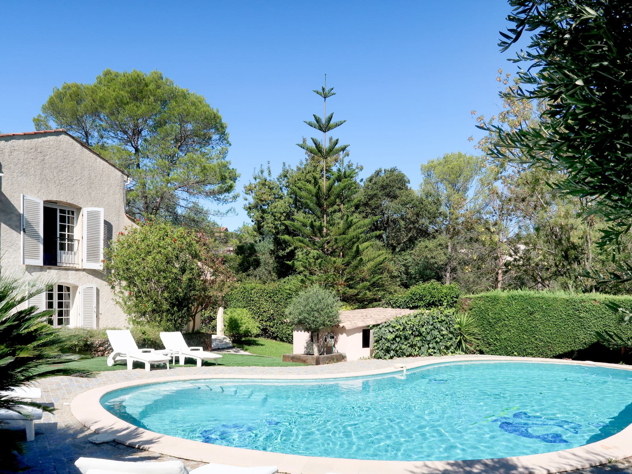 Pool Outdoor