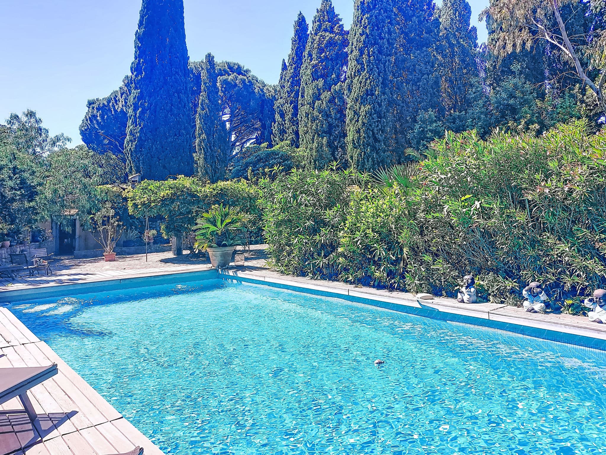 Pool Outdoor