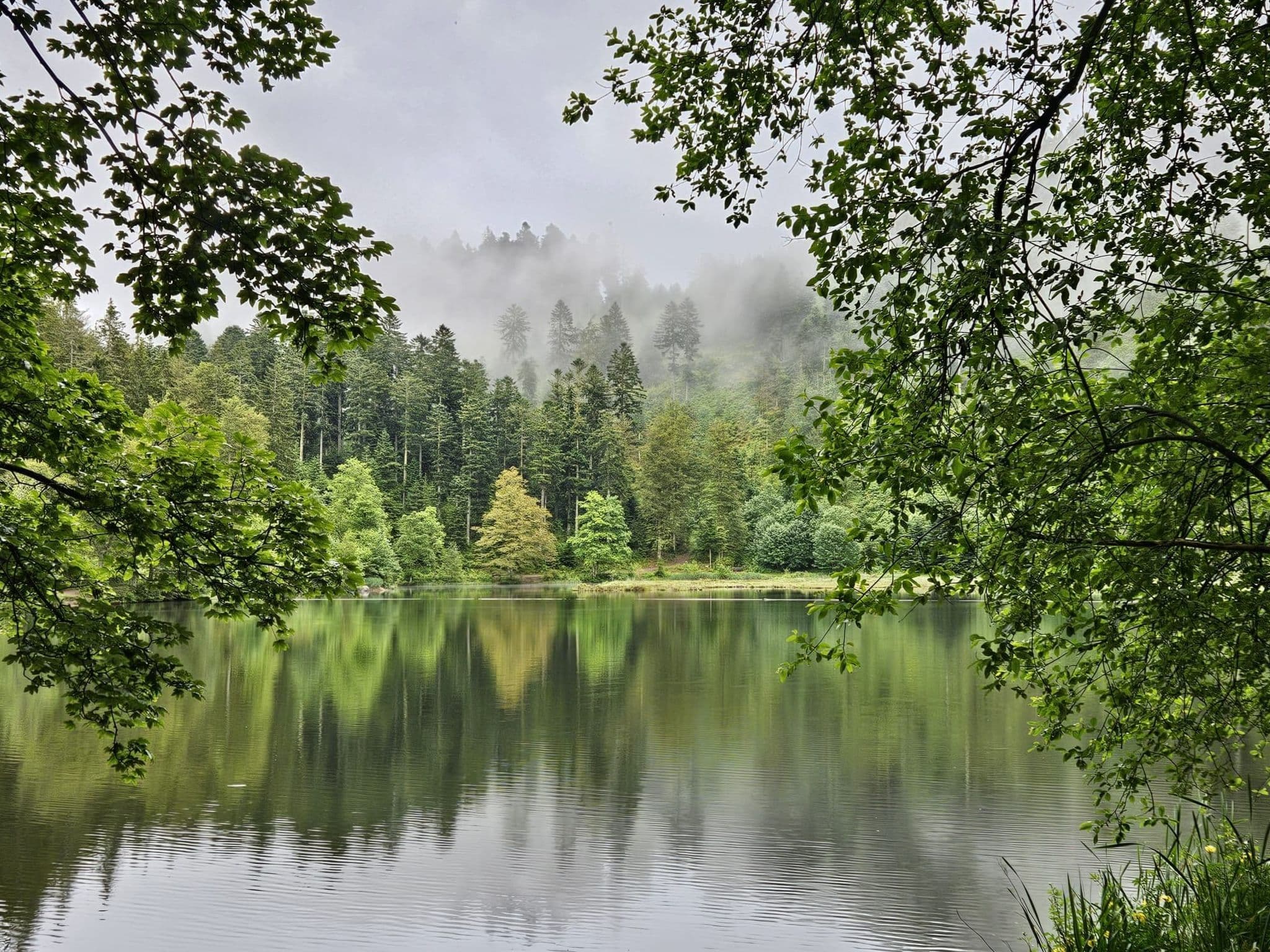 Gallery Image 17
