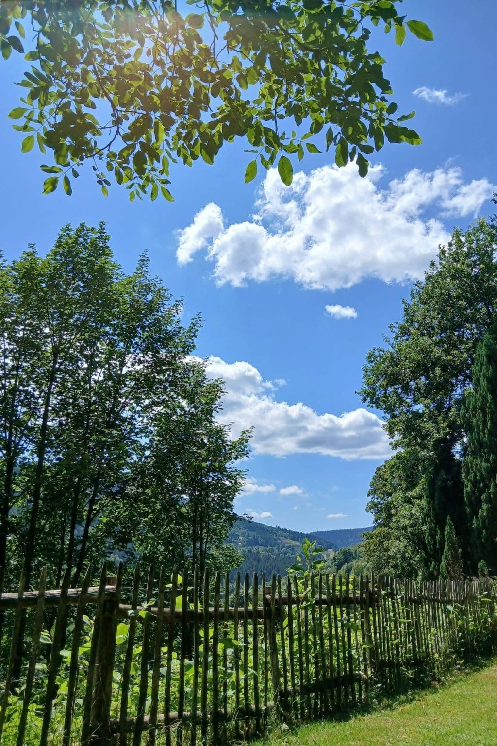 View