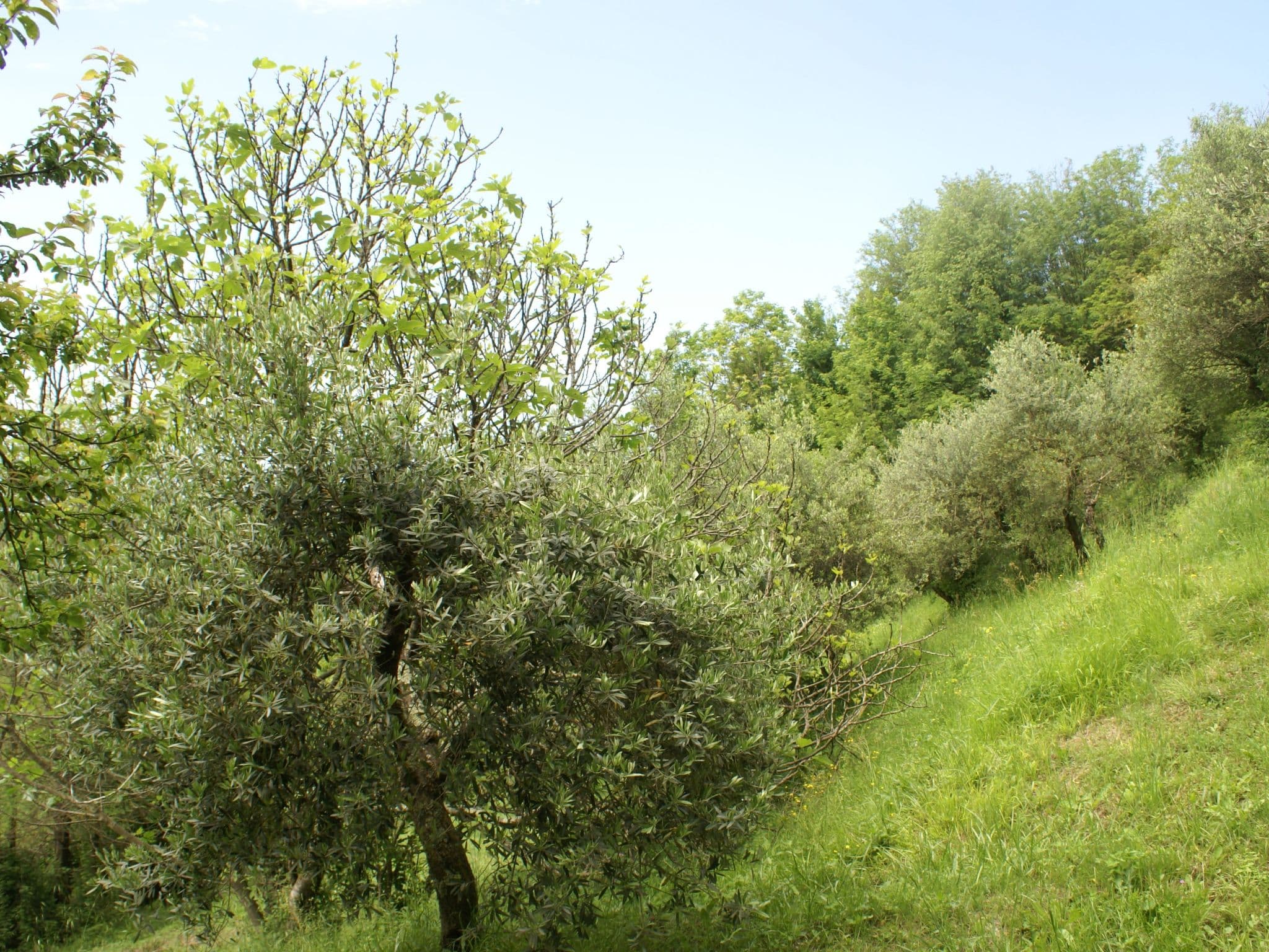 Gallery Image 27
