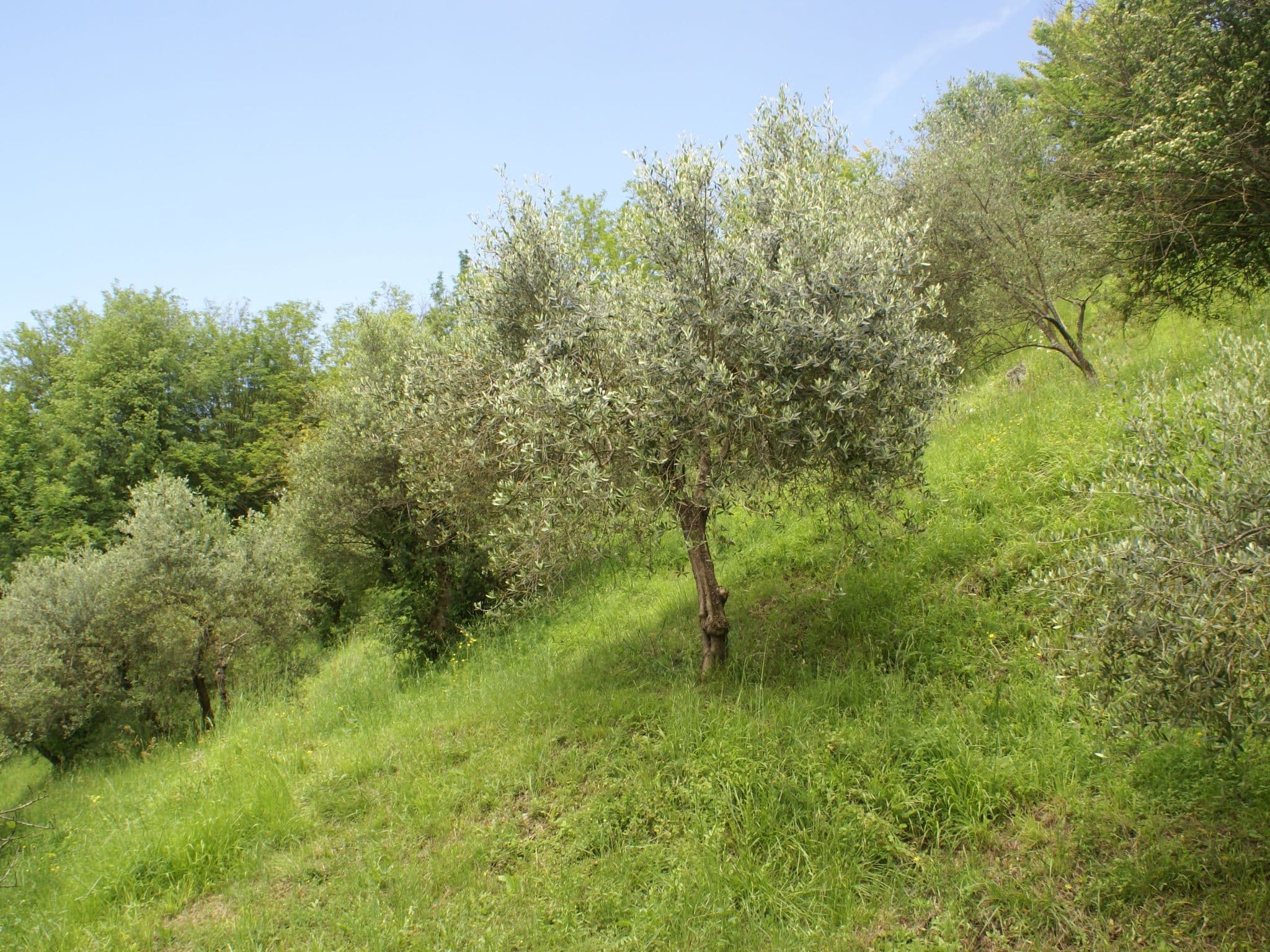 Gallery Image 28
