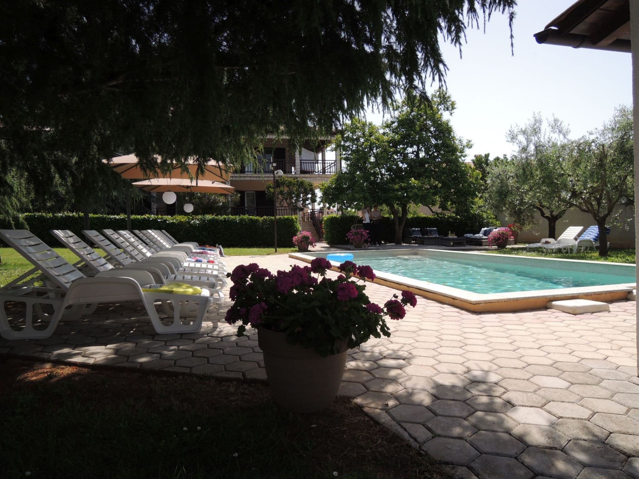 Pool Outdoor