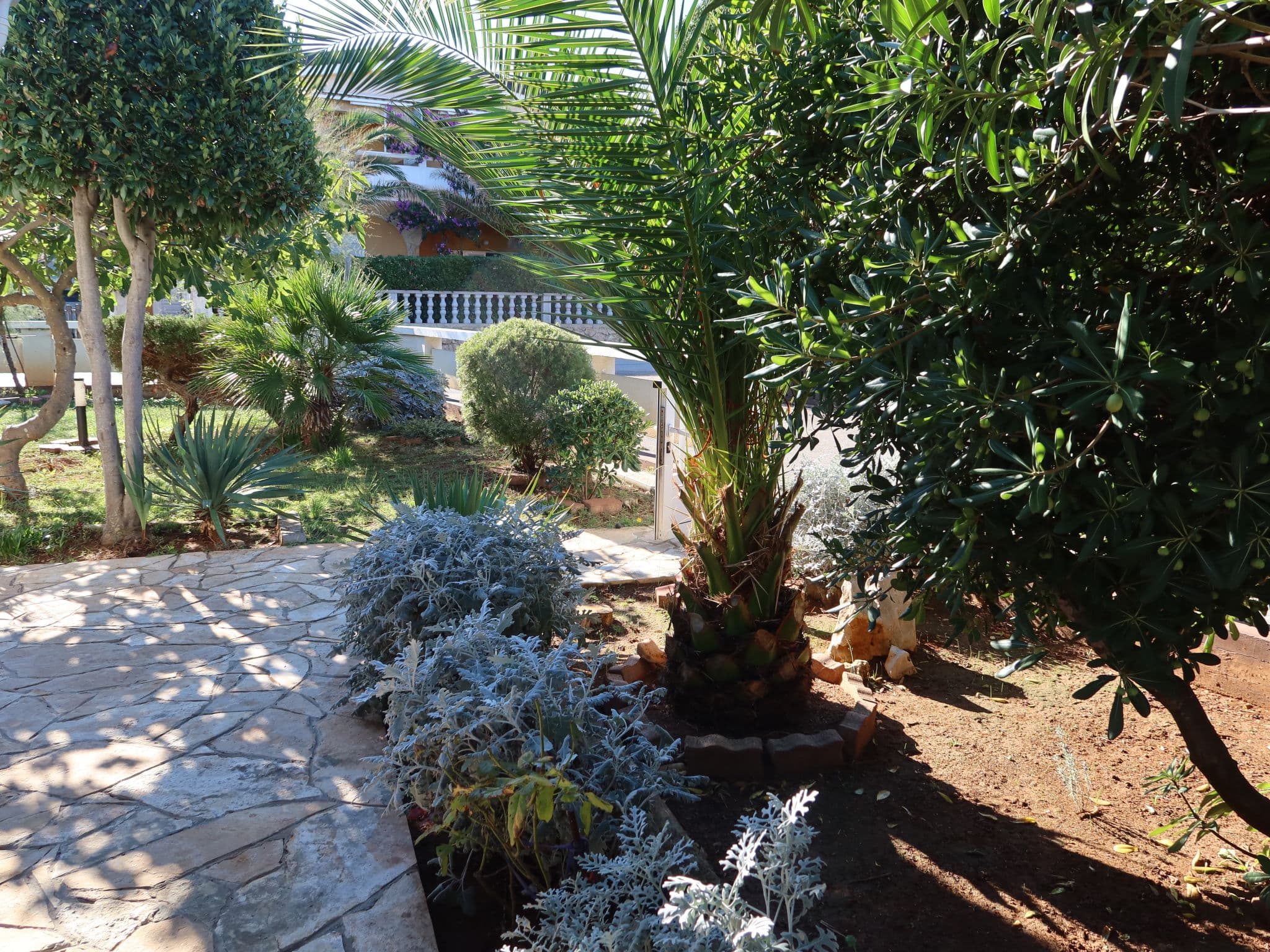Outdoor