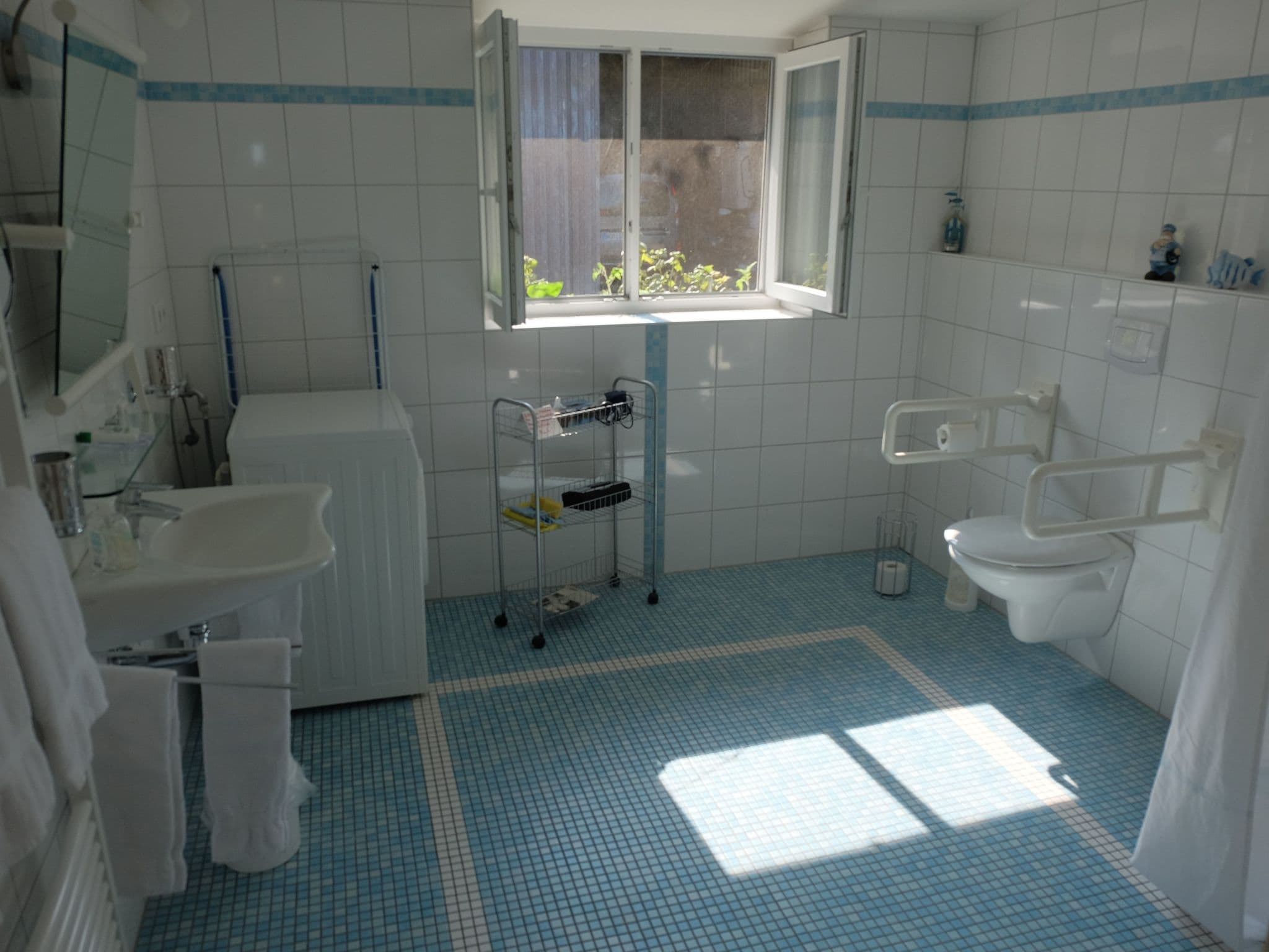 Bathroom / Wellness