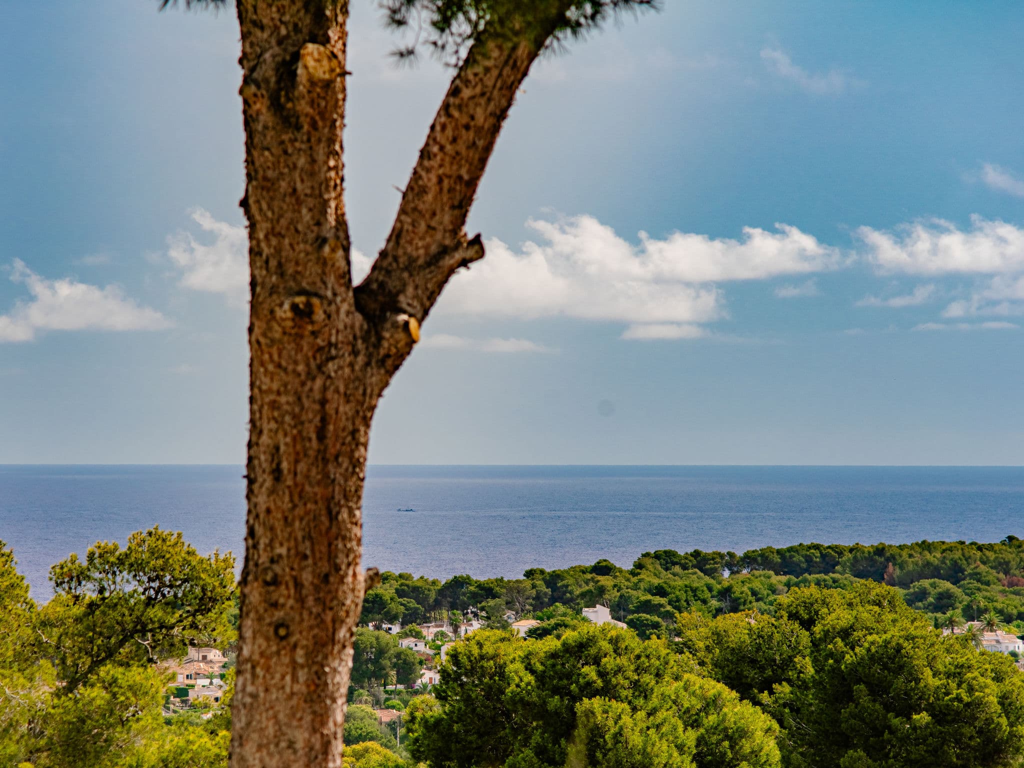 View