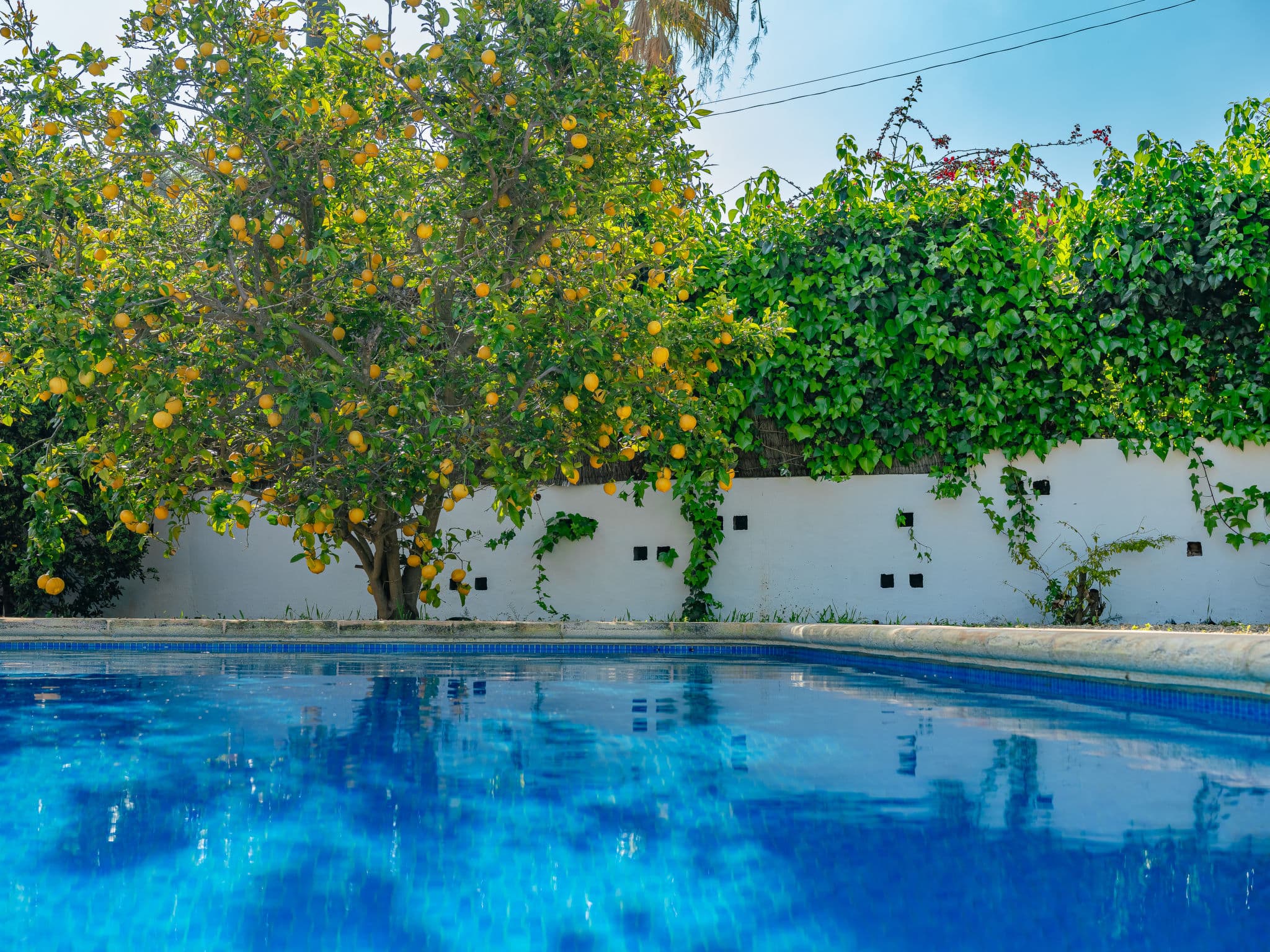 Pool Outdoor