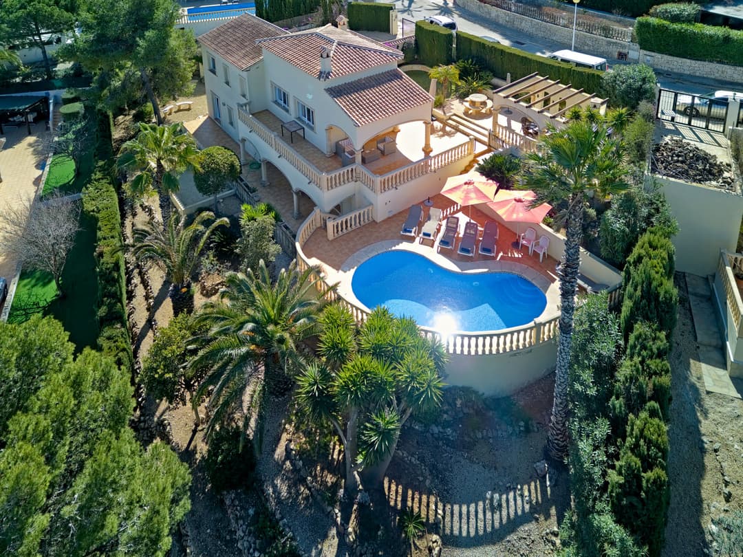Large Image