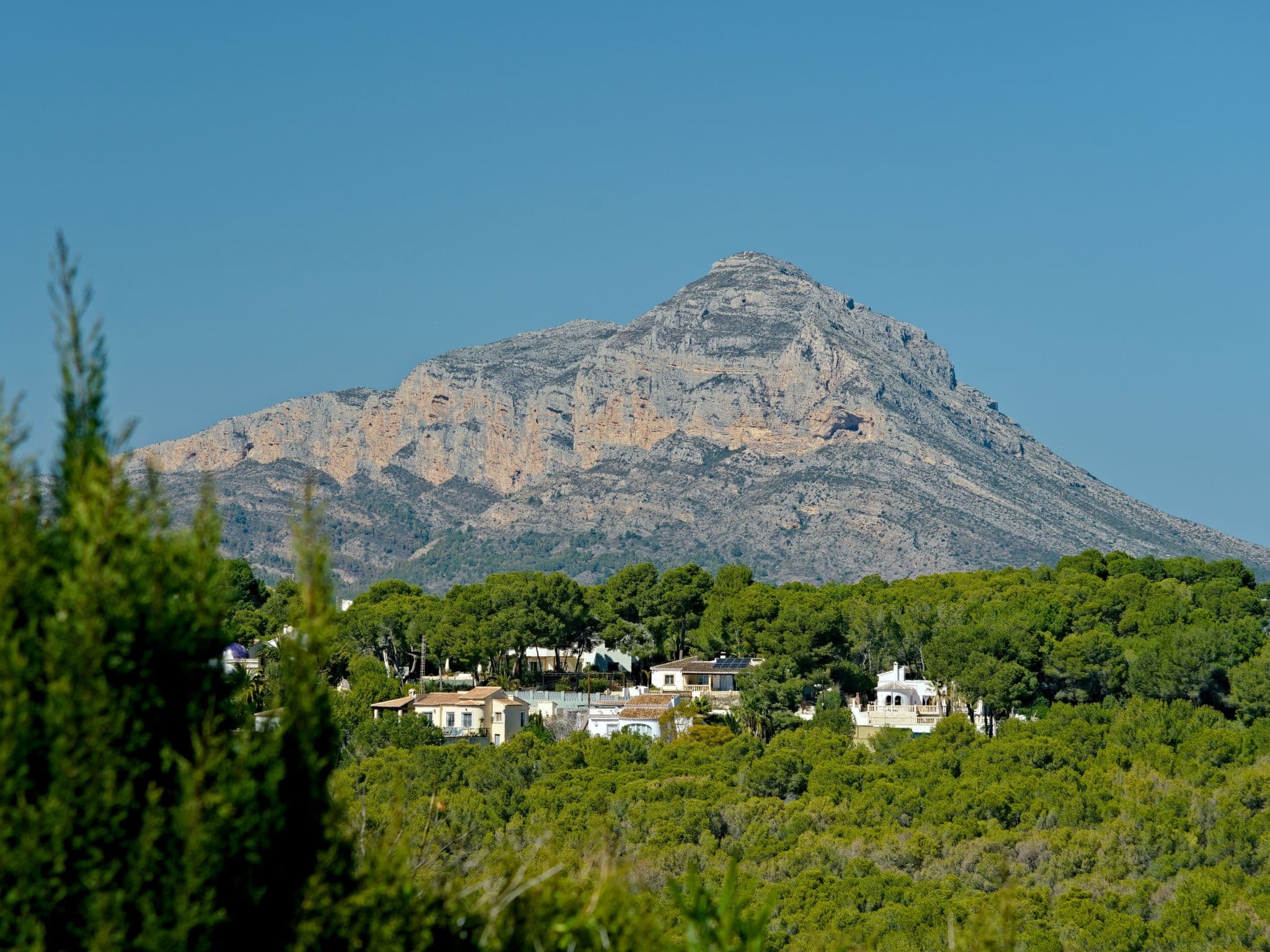 View