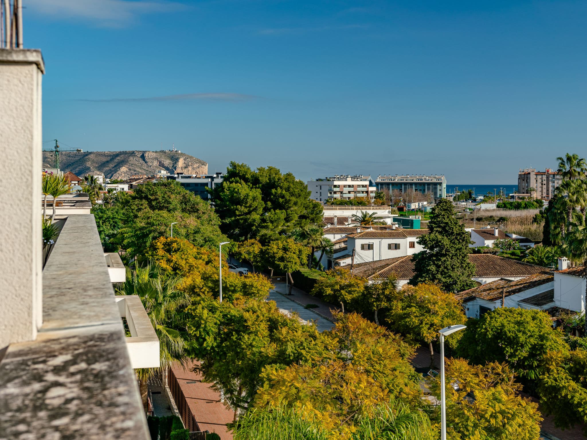 View