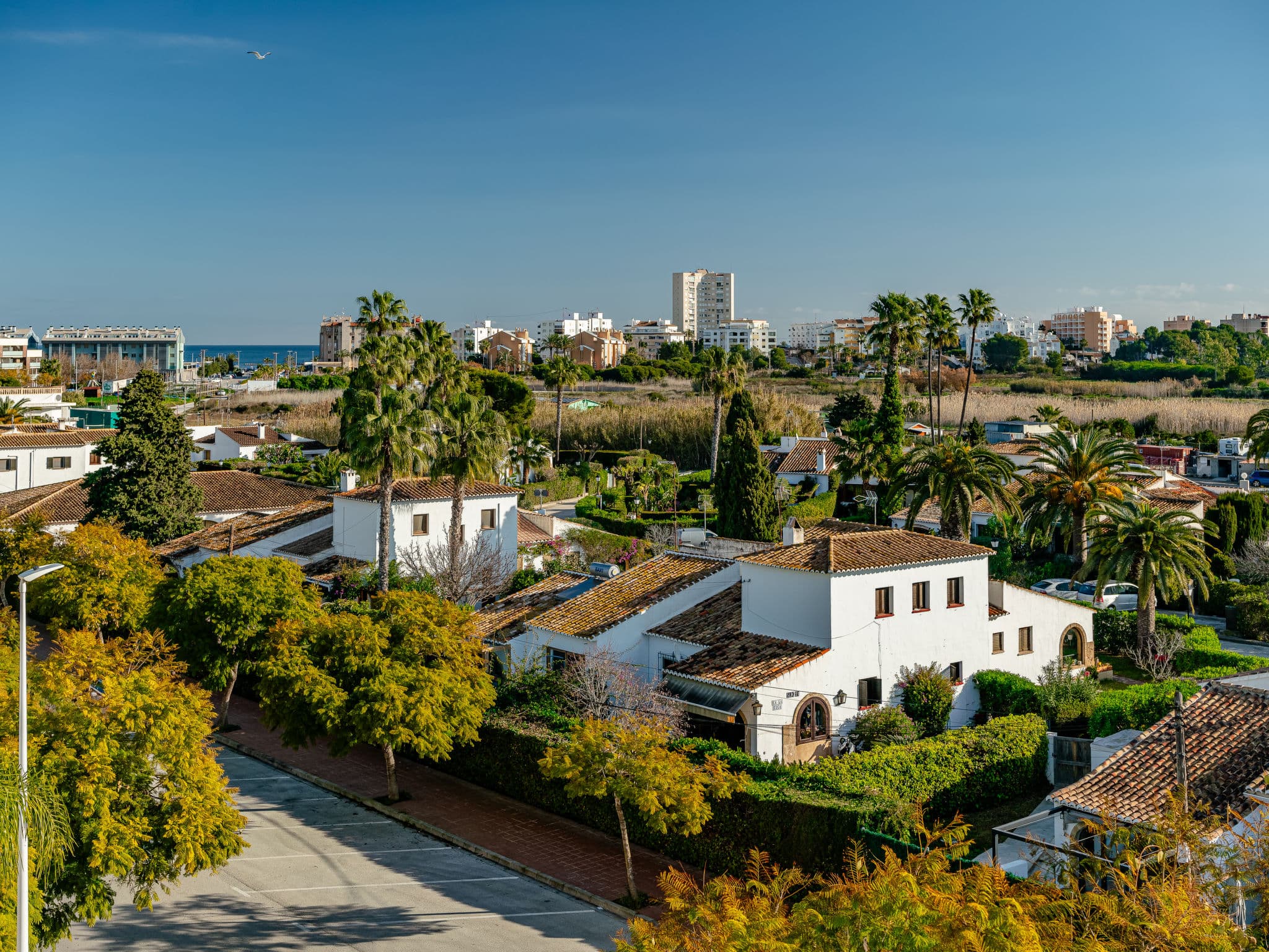 View