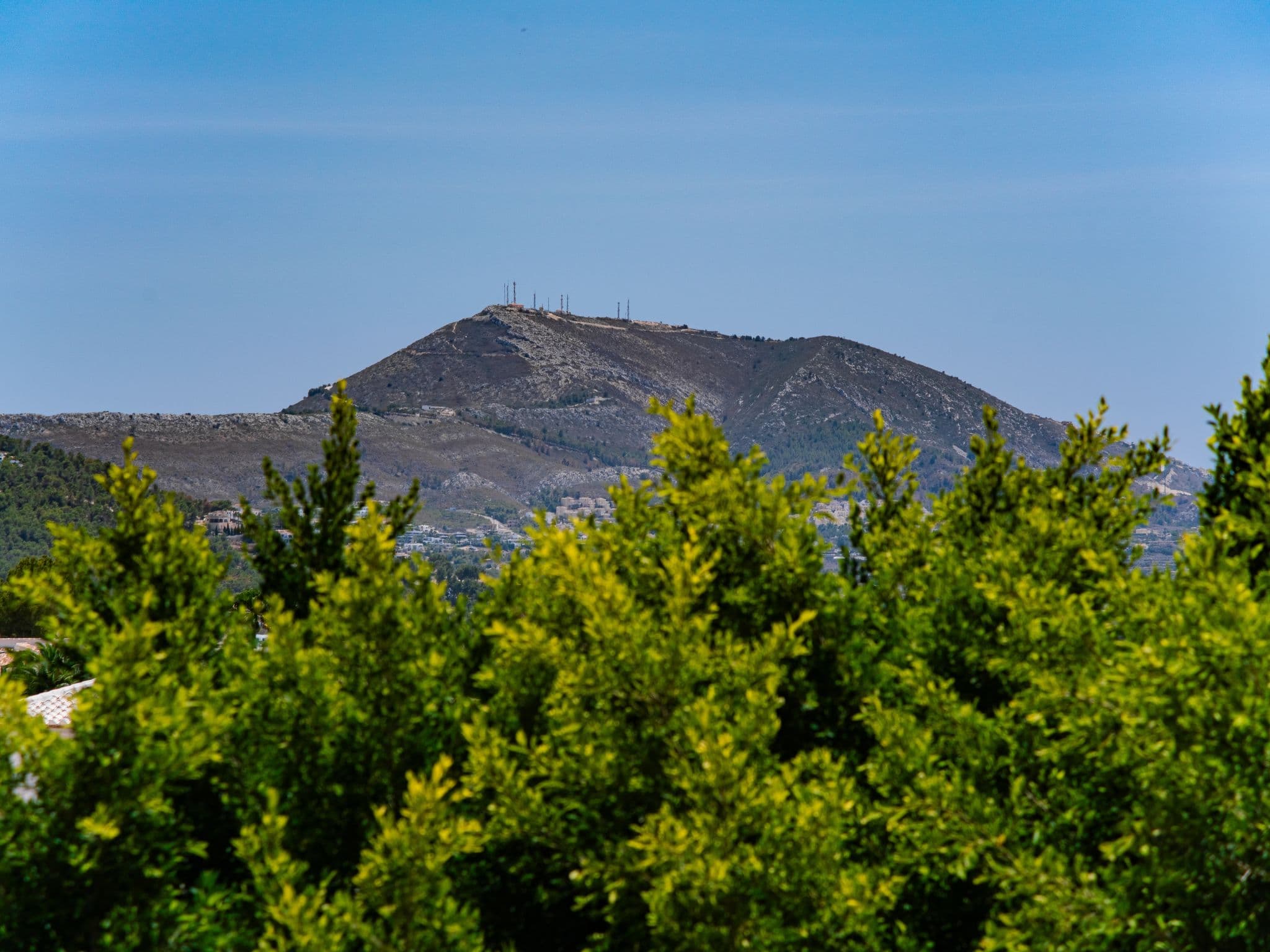 View