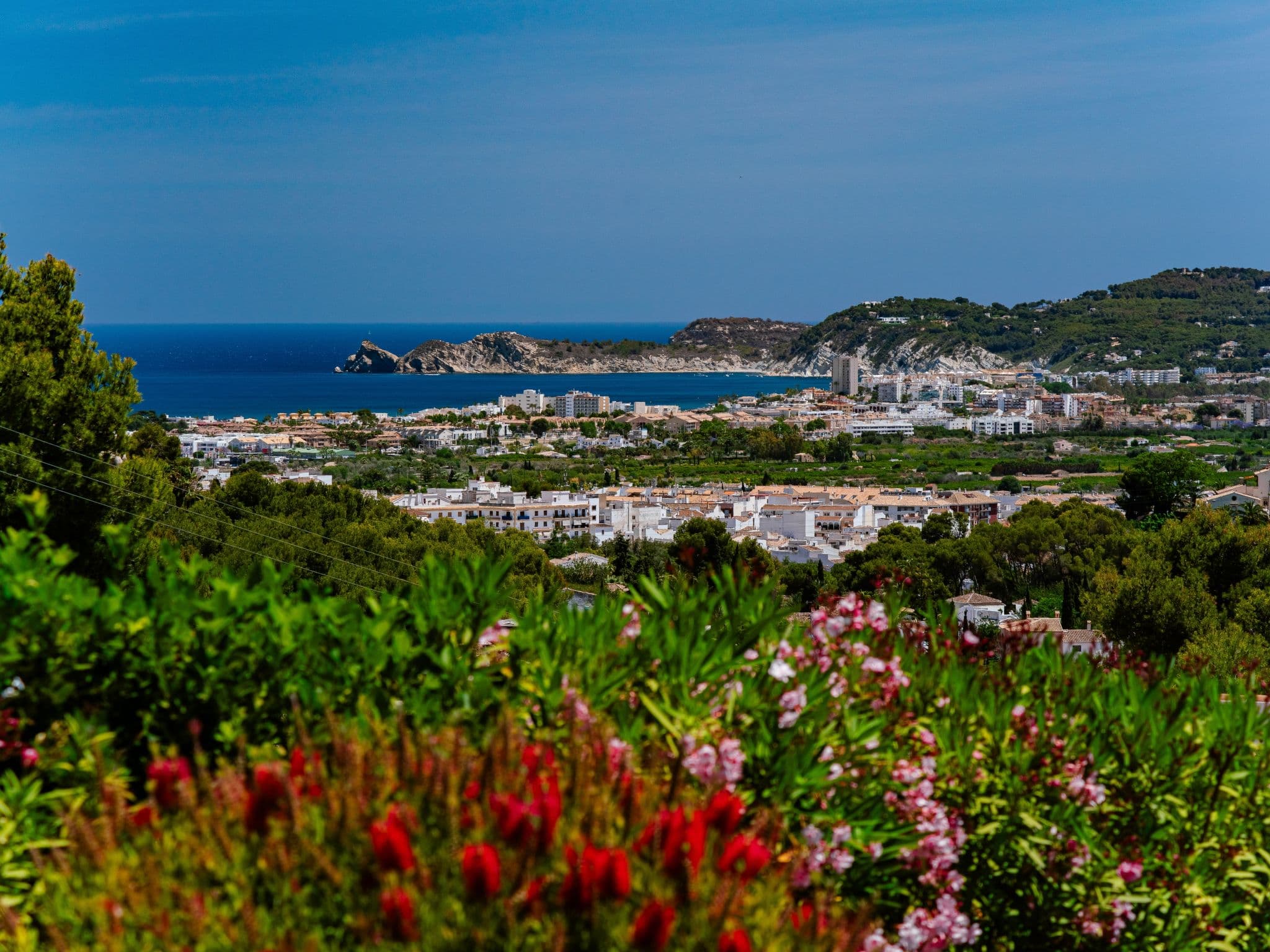 View