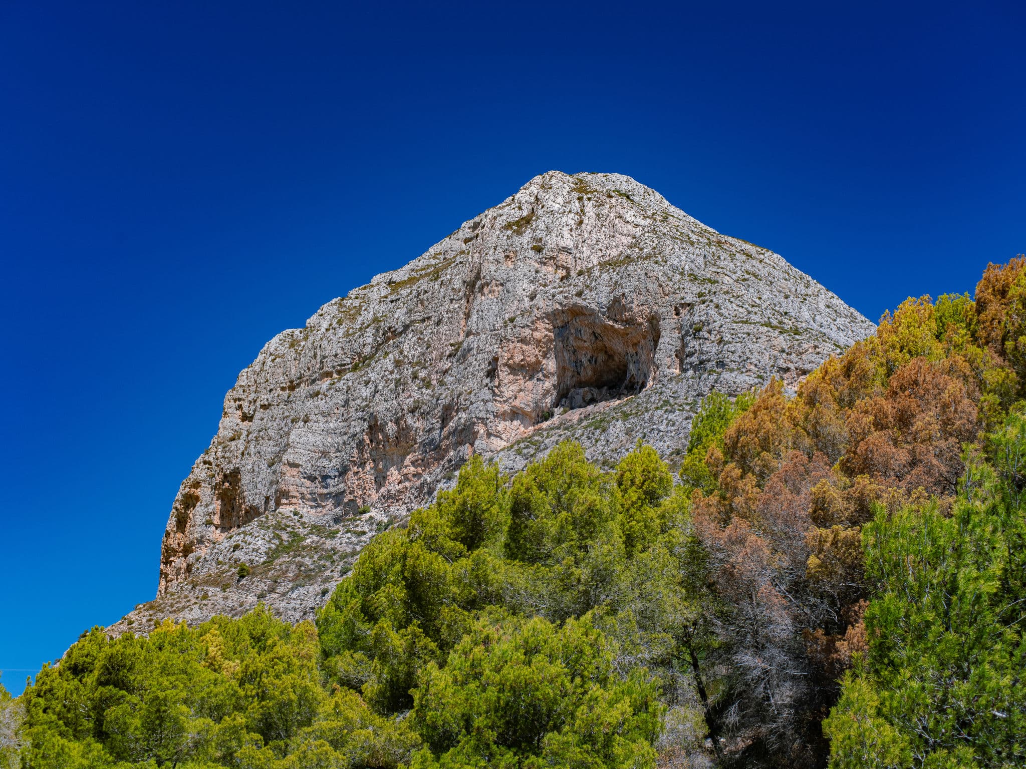 View