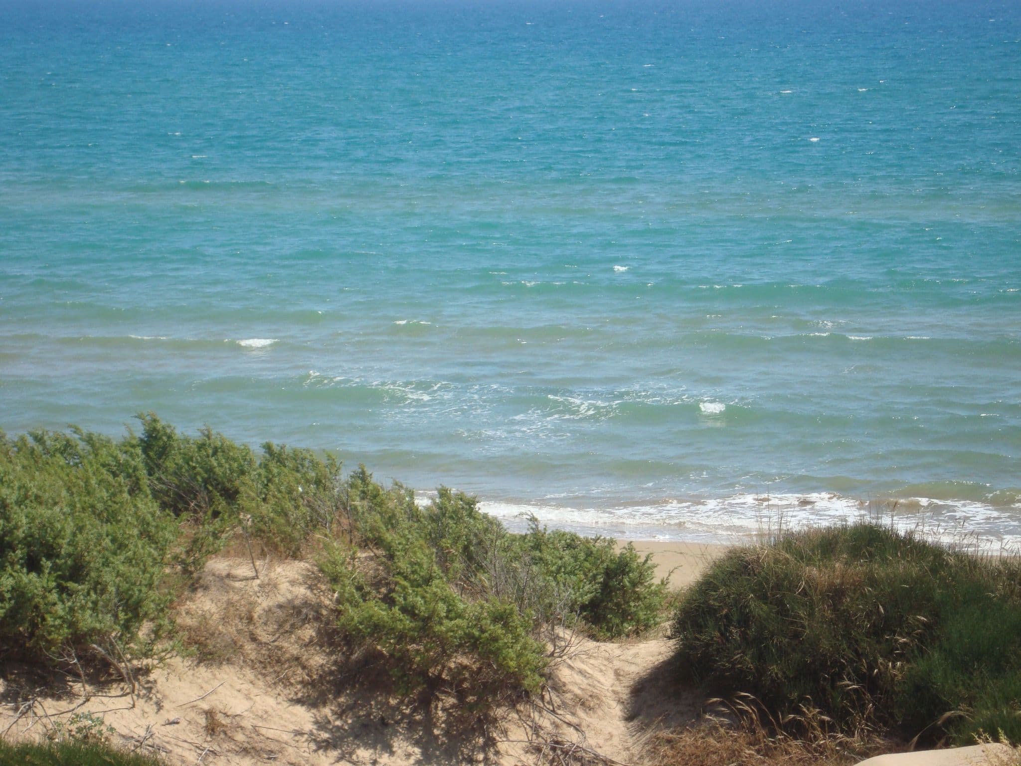 Gallery Image 14