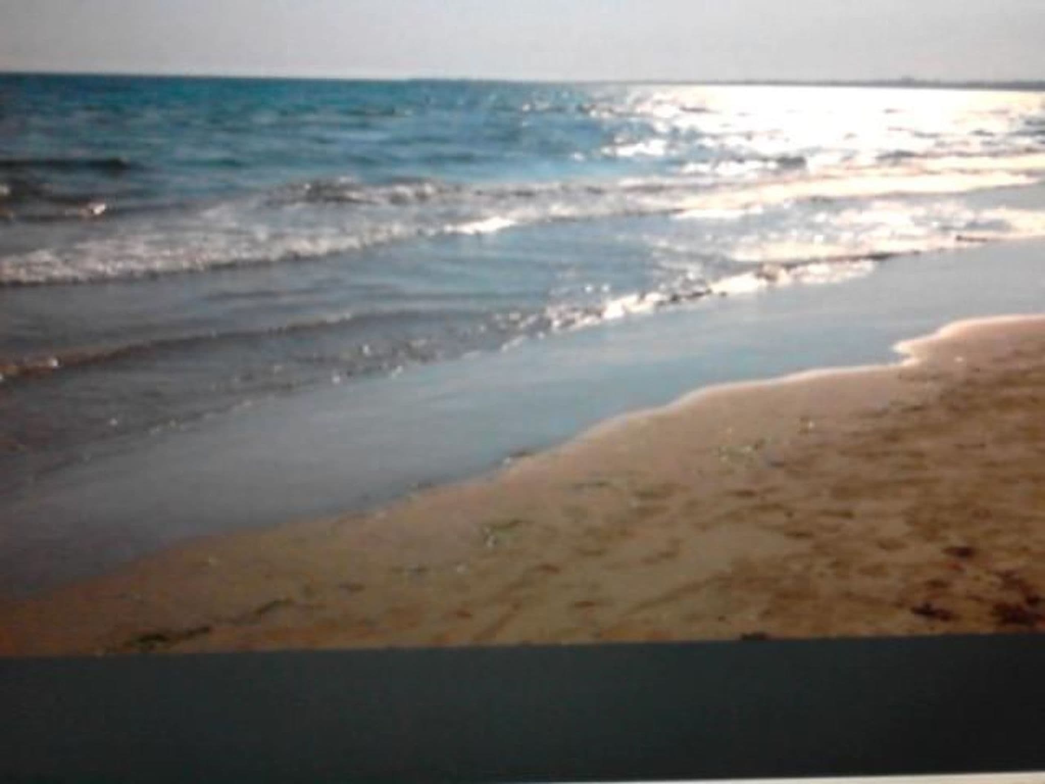 Gallery Image 17