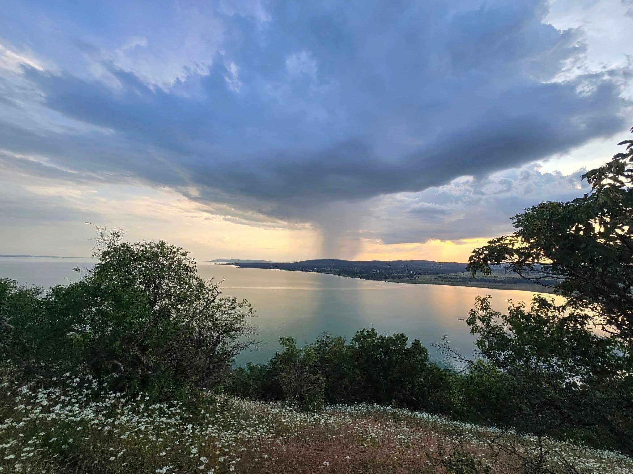 View