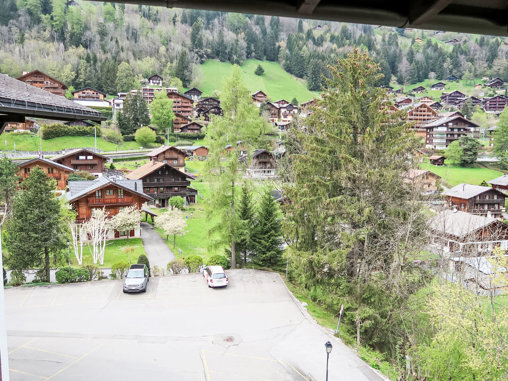 View