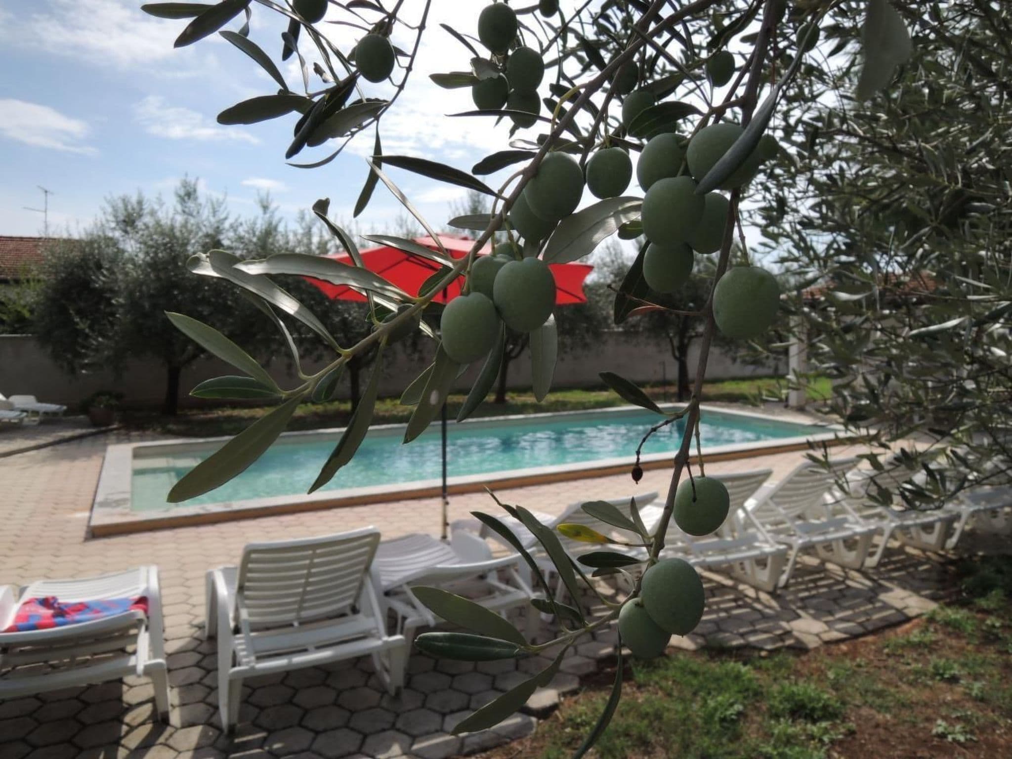 Pool Outdoor