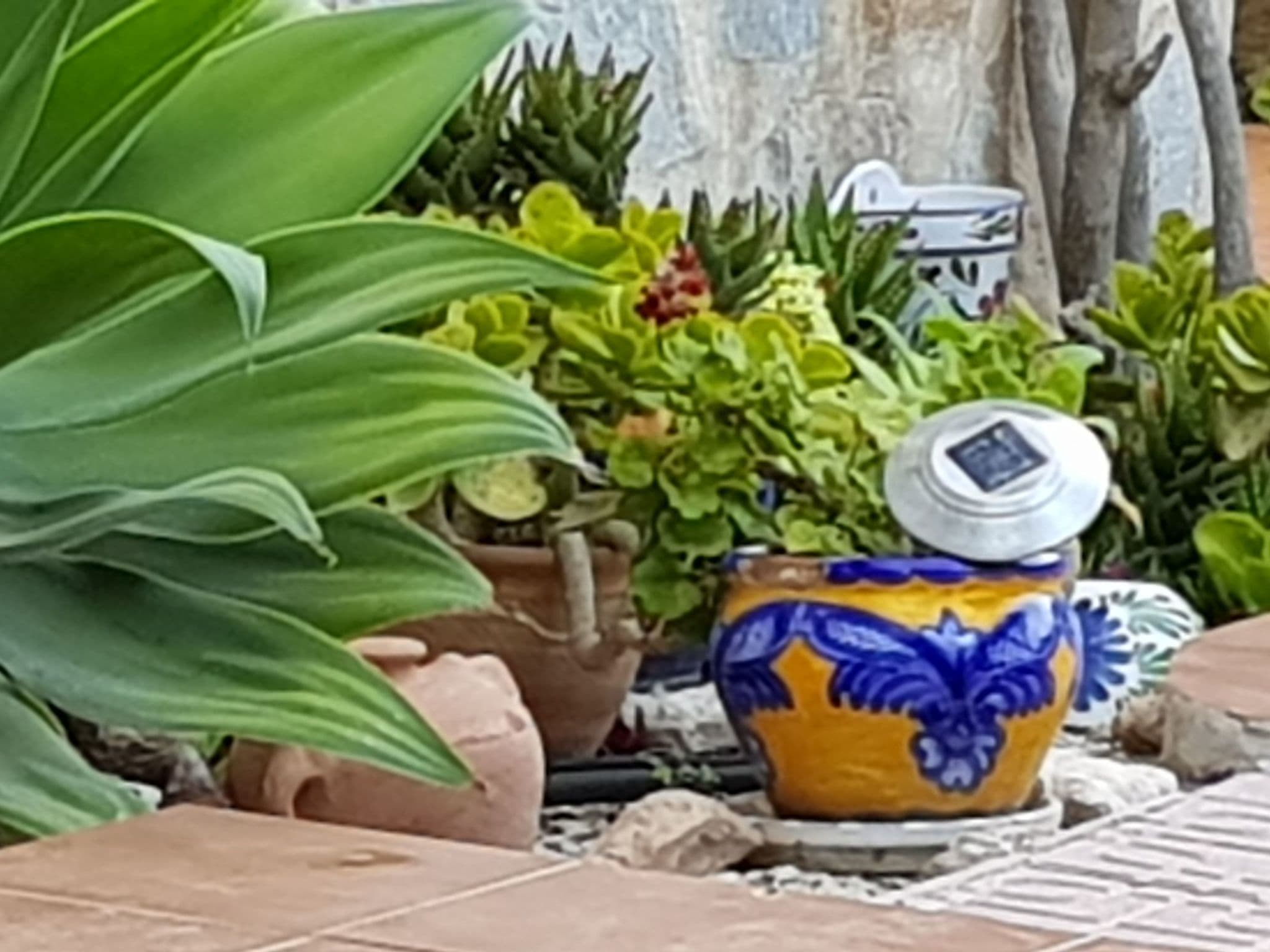 Gallery Image 9