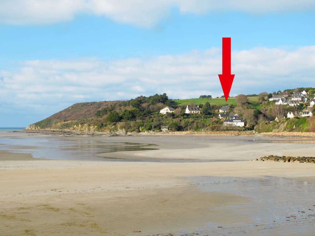 Large Image