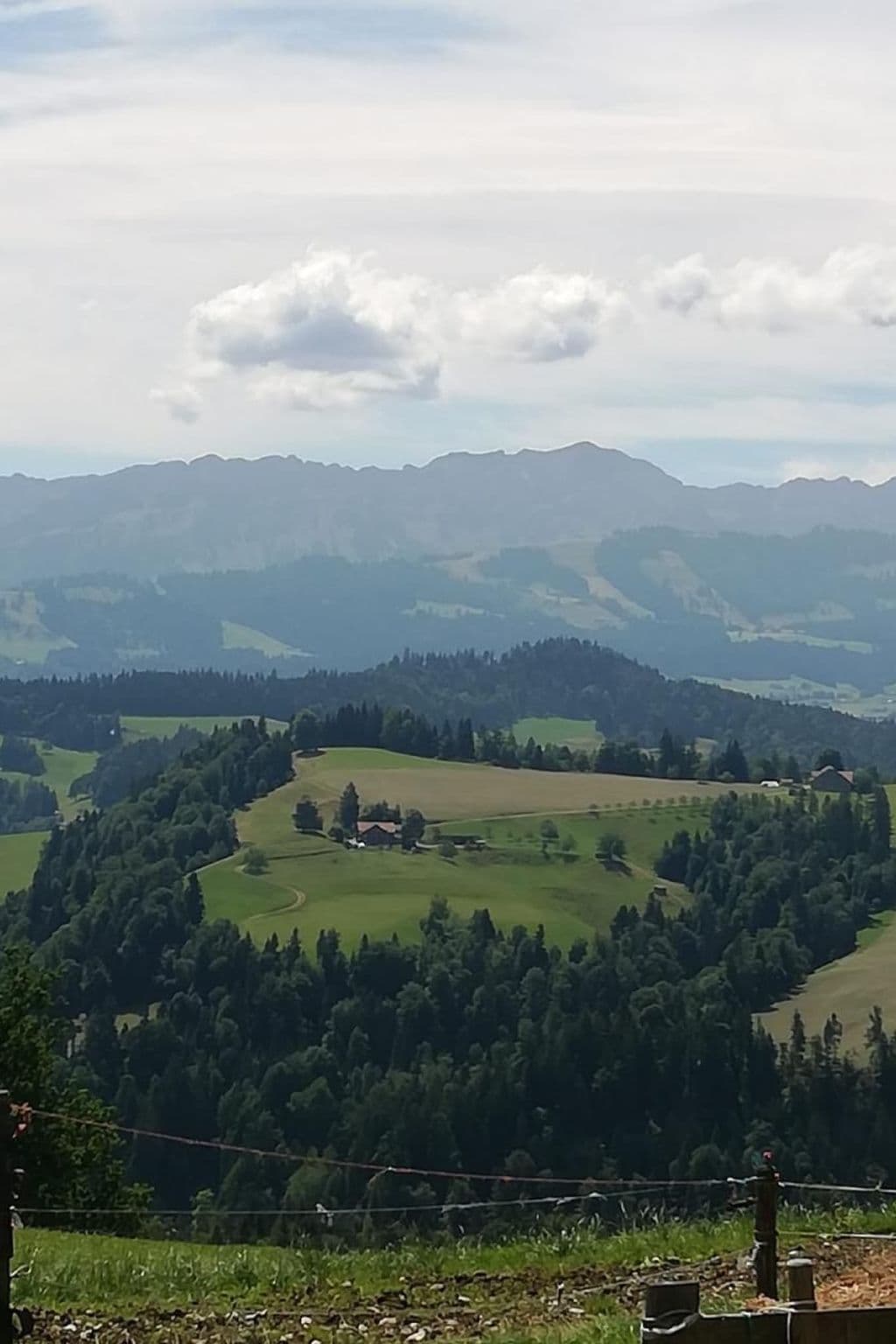 View