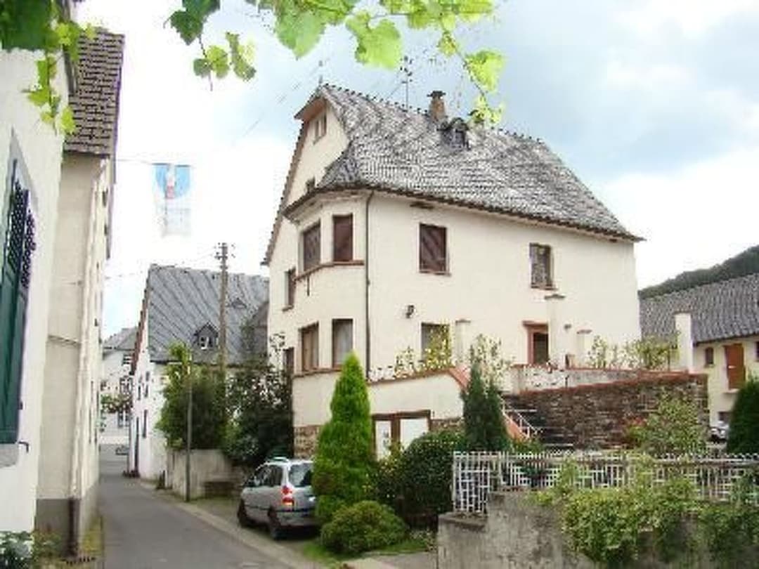 Large Image