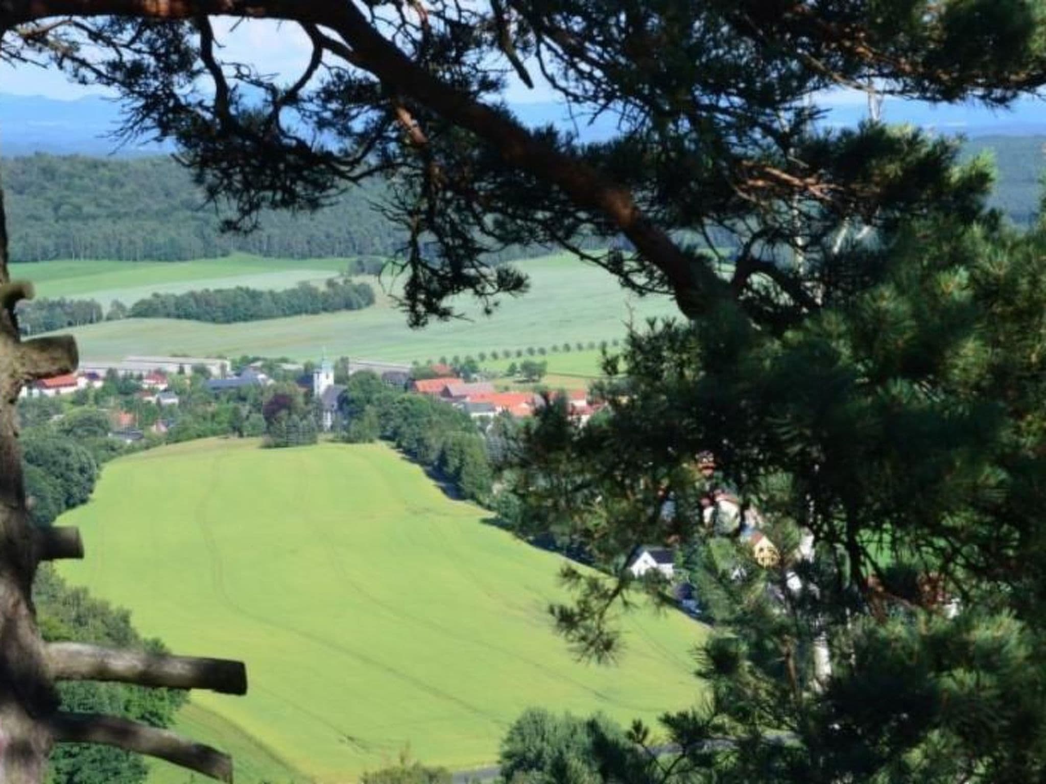 View