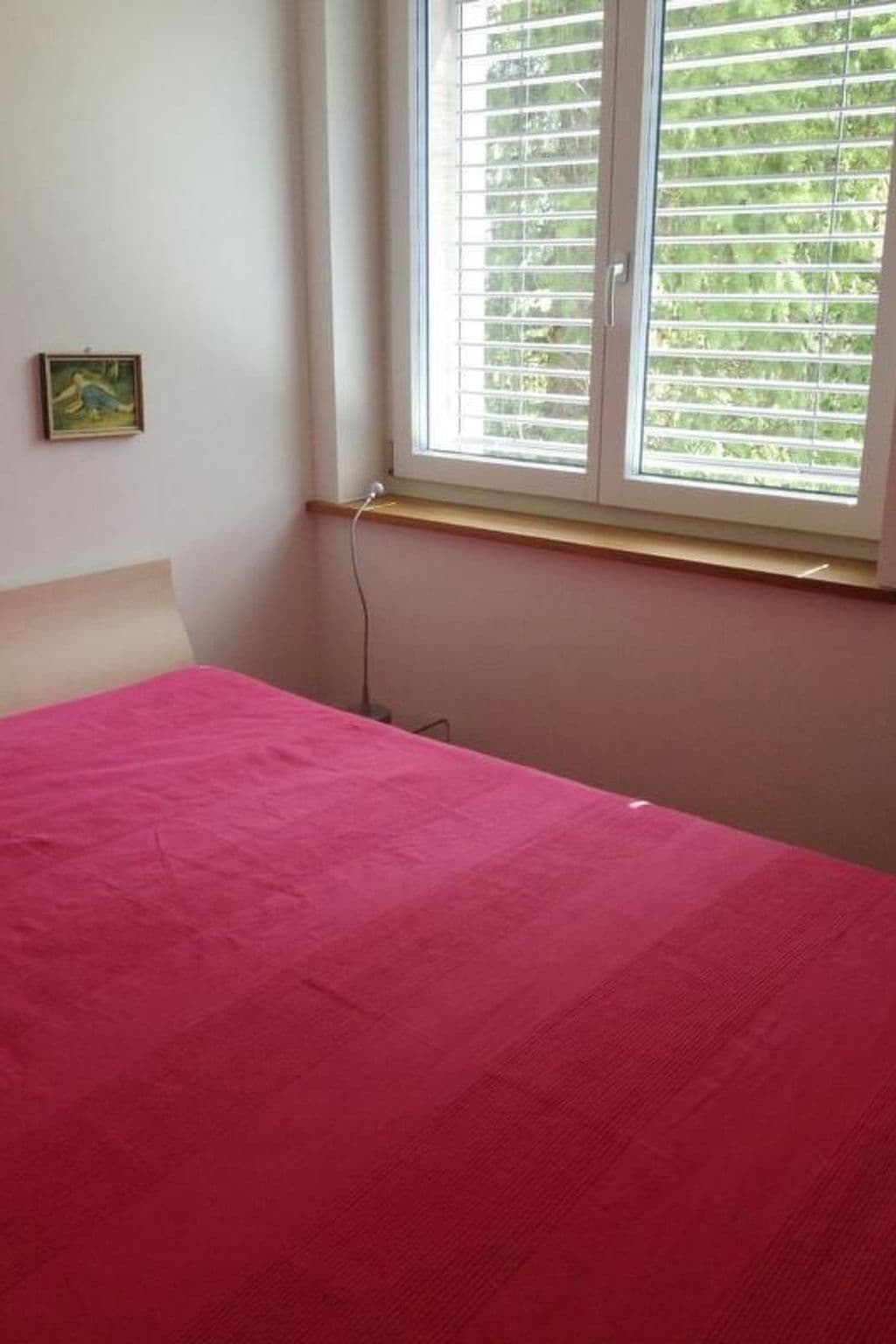 Gallery Image 18